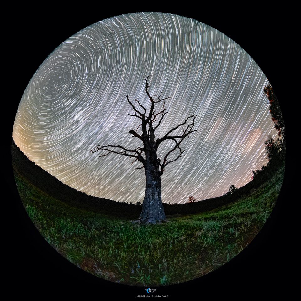 APOD: 2022 July 8 – Roots on a Rotating Planet