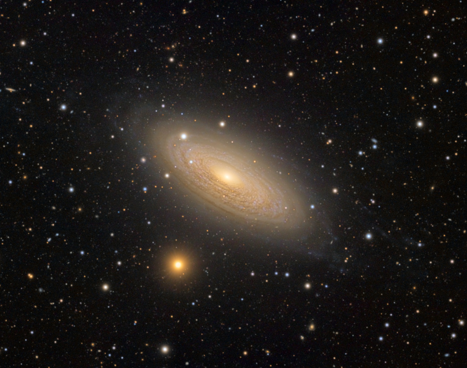 APOD: 2022 March 3 – Spiral Galaxy NGC 2841