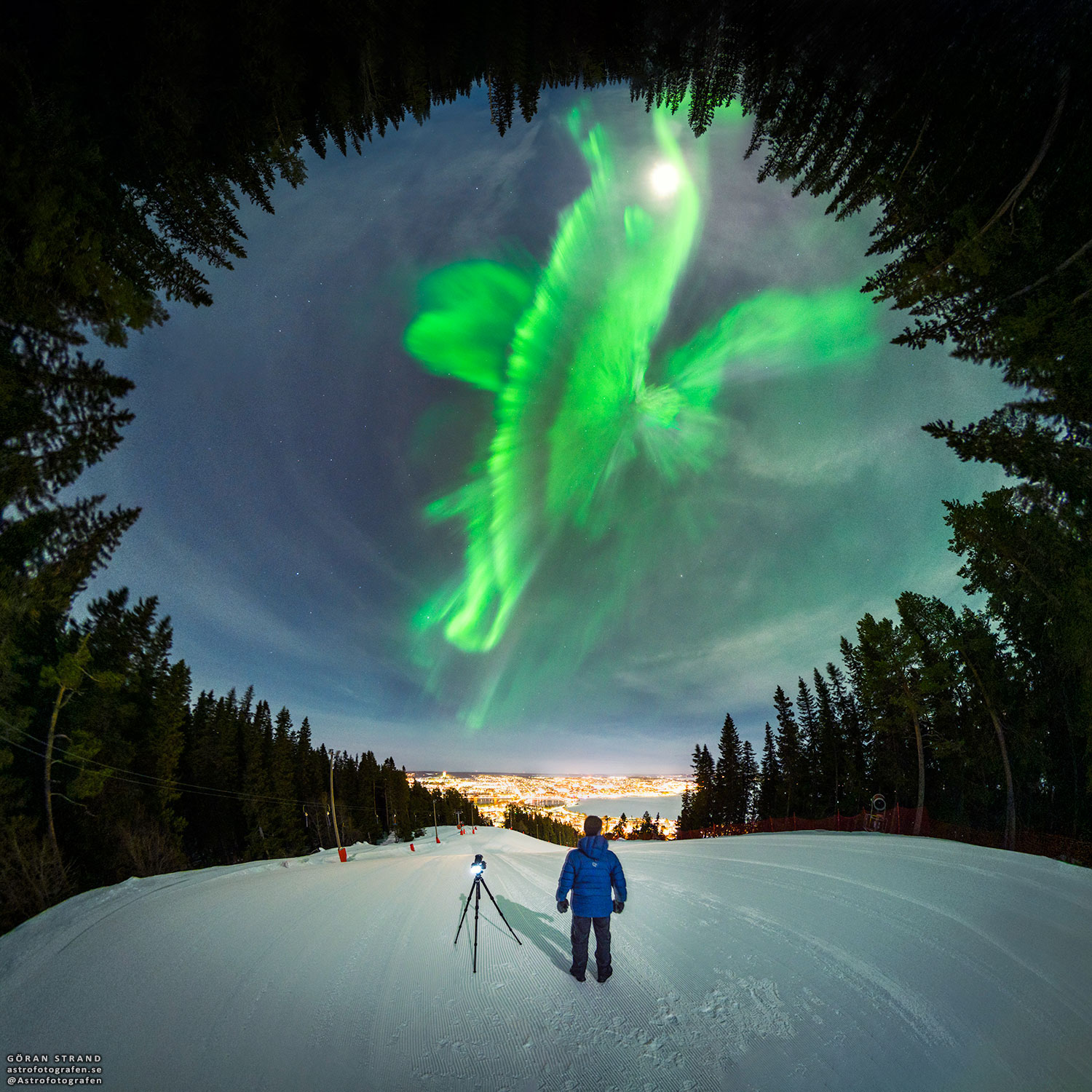 The featured image depicts a bright aurora captured earlier this month over Östersund, Sweden. To some, this coronal aurora may resemble a whale. Please see the explanation for more detailed information.