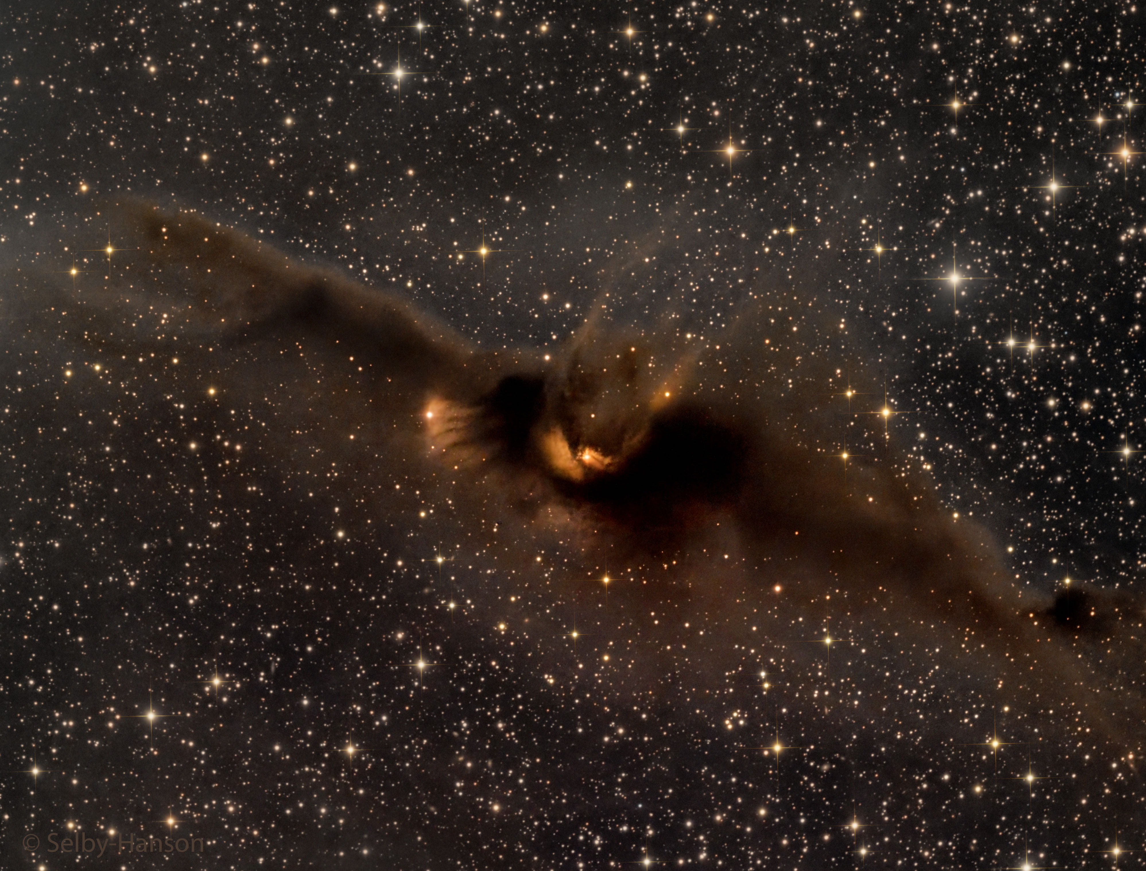 APOD: 2022 October 31 – LDN 43: The Cosmic Bat Nebula