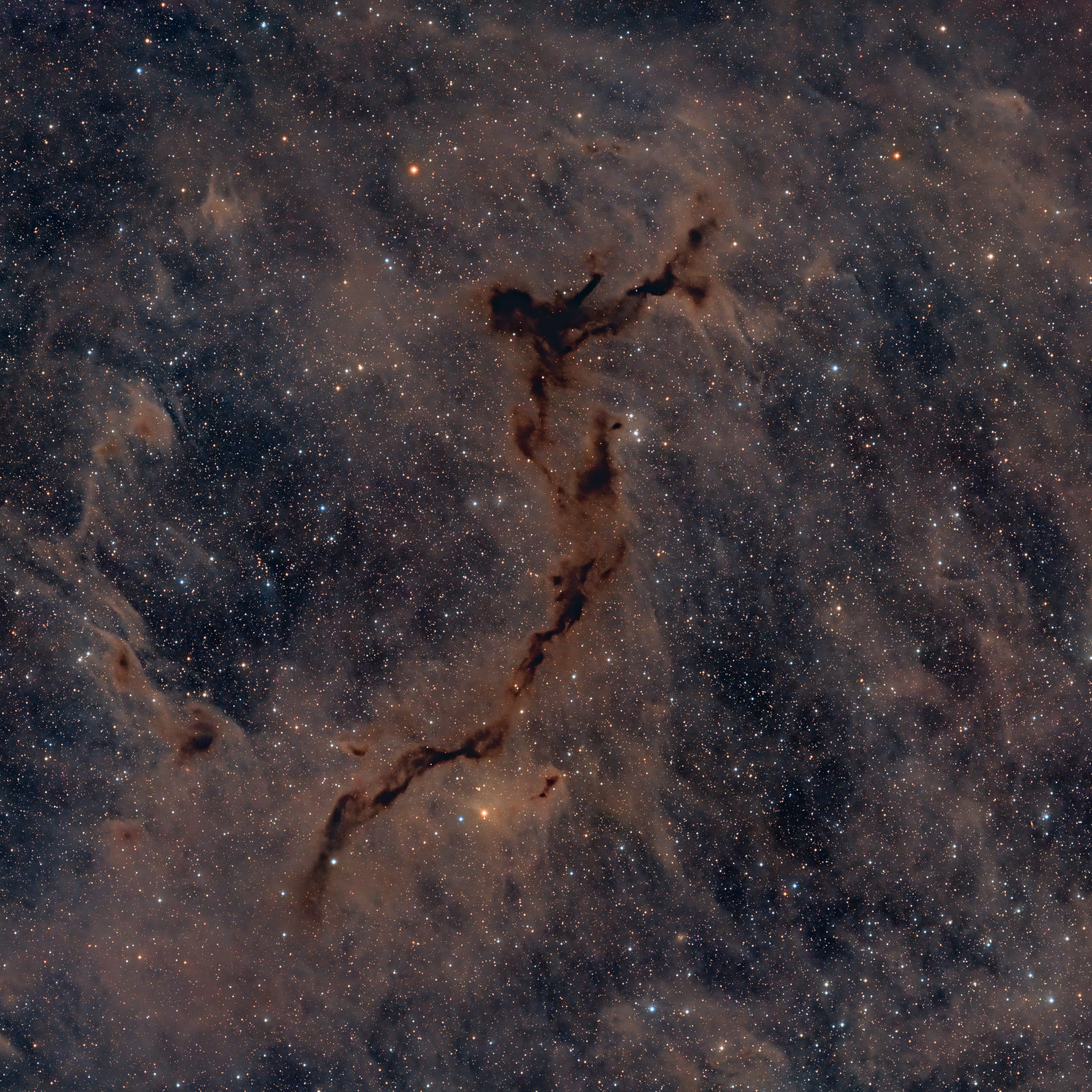 APOD: 2023 April 20 – The Dark Seahorse in Cepheus