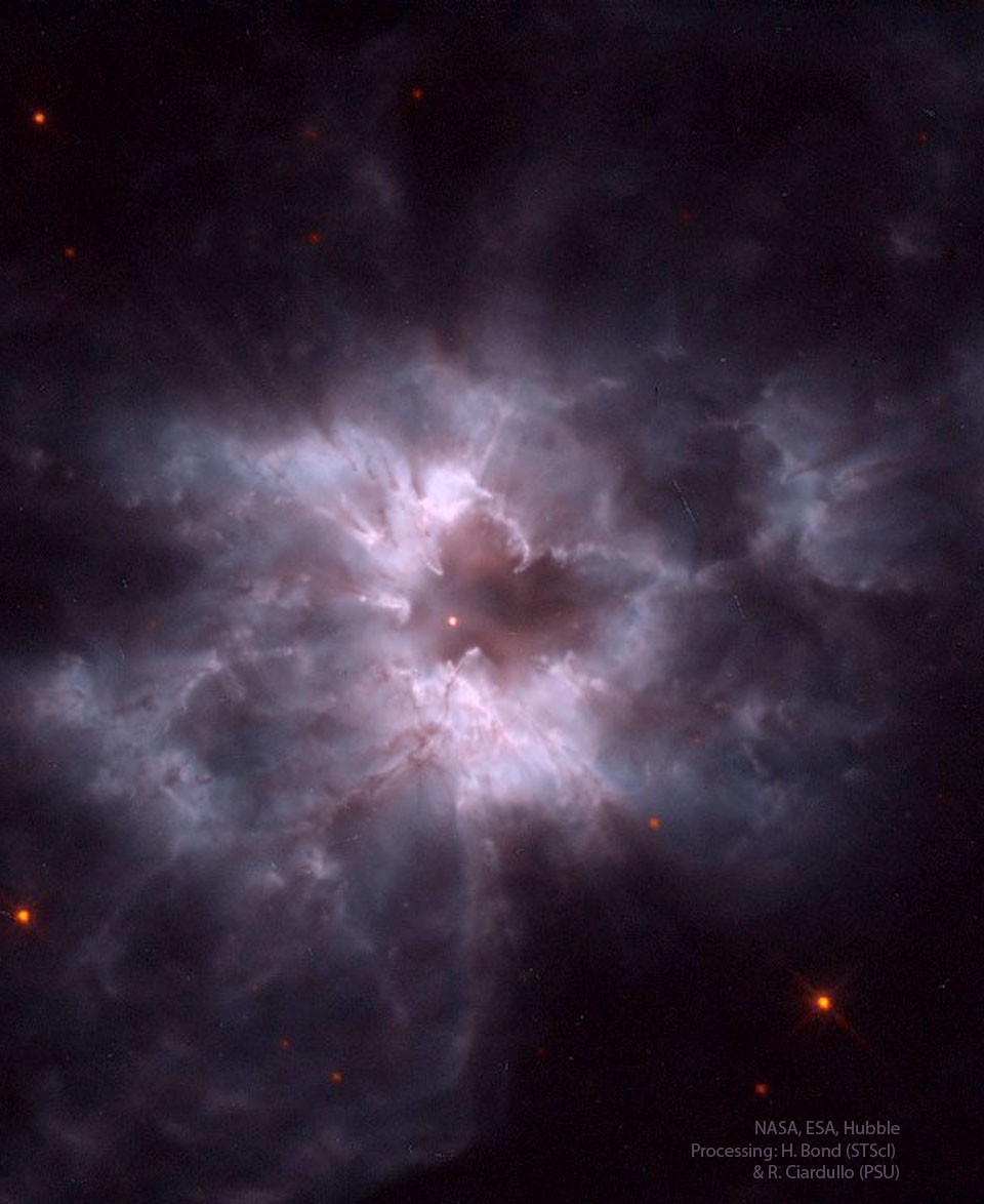 NGC 2440: Cocoon of a New White Dwarf — APOD for 2023-12-24