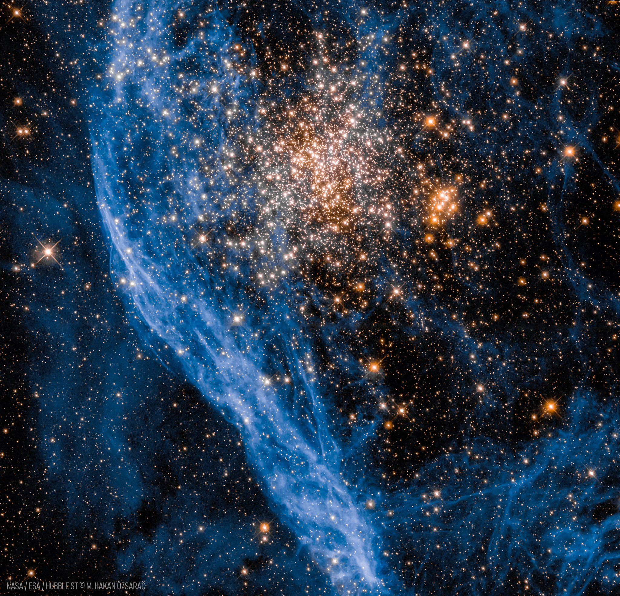 A ball of yellow stars is seen to the right of blue-glowing gas filaments. Other blue filaments and foreground stars cover the frame. Please see the explanation for more detailed information.
