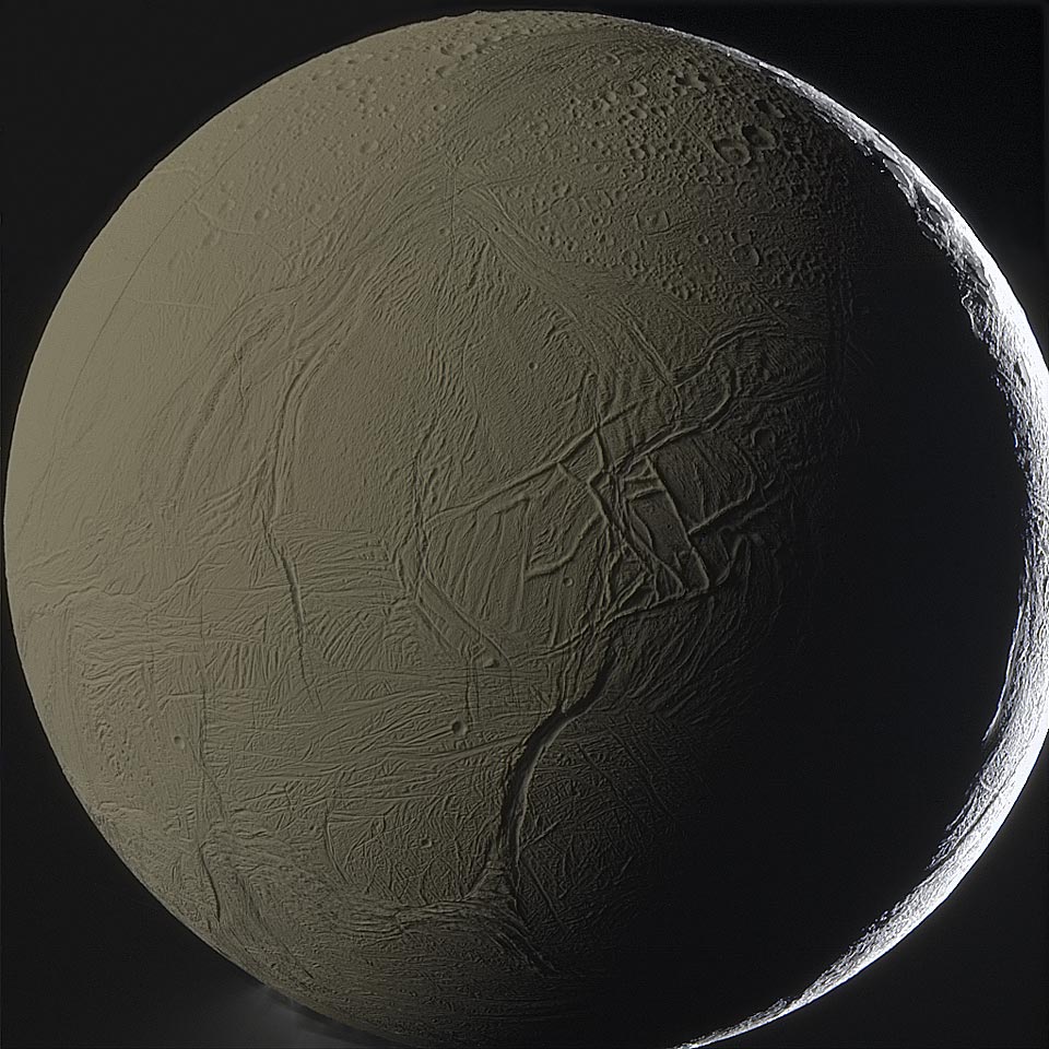 A large tan ball with multiple complex grooves is pictured. A sliver on the far right side appears almost white. Please see the explanation for more detailed information.