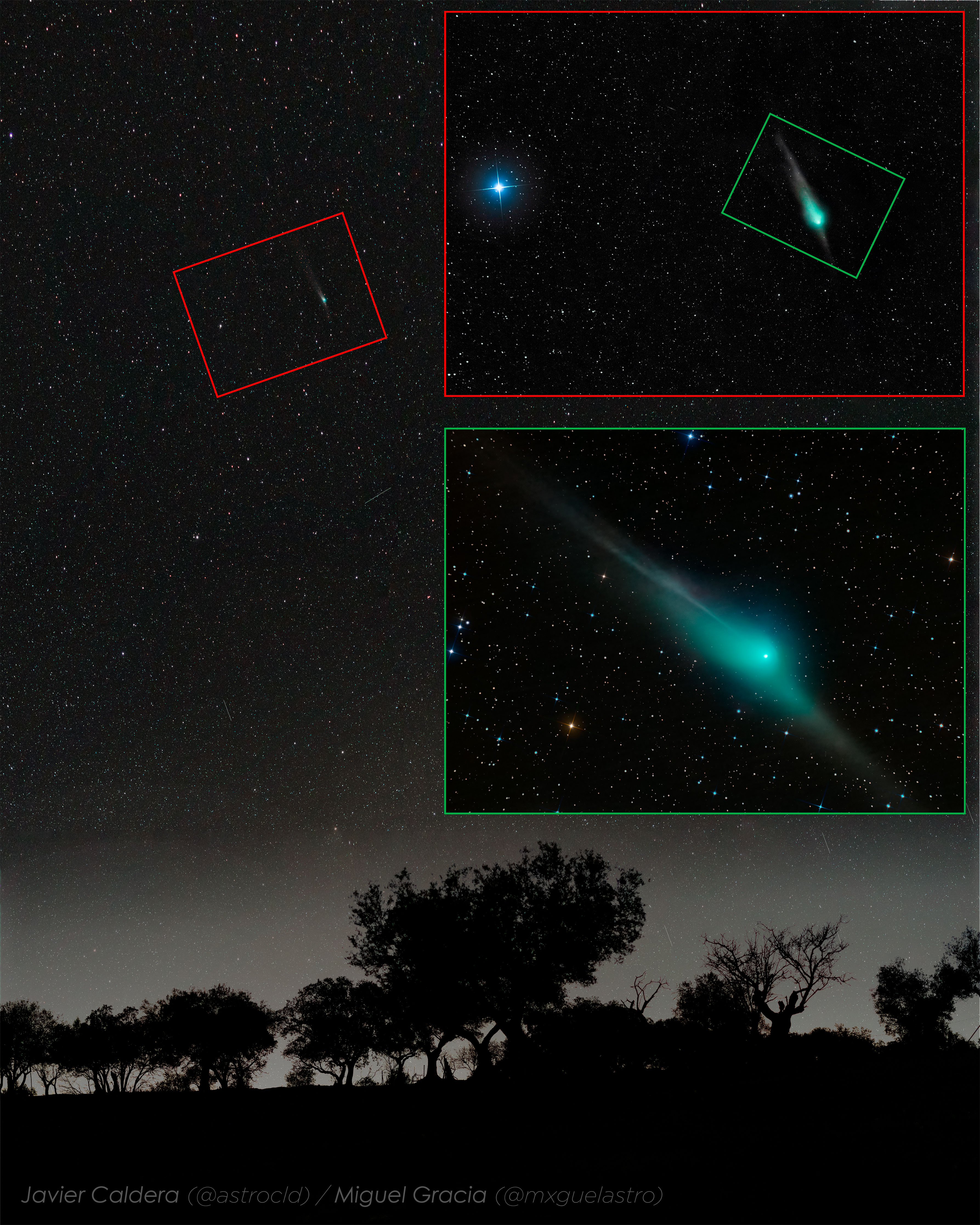 Comet ZTF is shown high above and far beyond a row of silhouetted trees. The top inset image shows how the comet looked through binoculars, while the lower inset image shows how the comet looked, last week, thought a small telescope. The lower inset image clearly shows the comets coma, dust tail, ion tail, and a noticeable antitail. Please see the explanation for more detailed information.