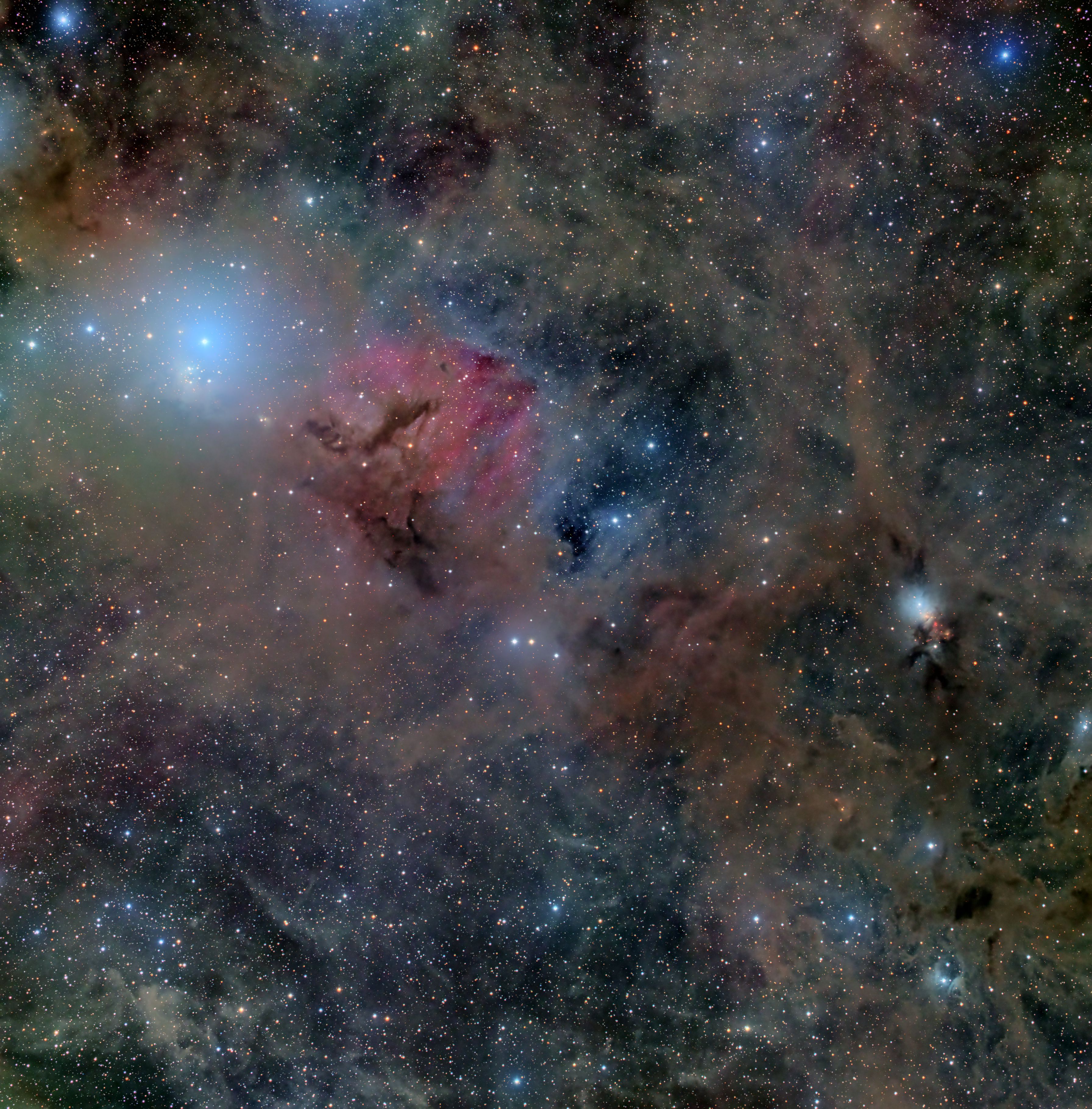 APOD: 2023 January 12 – Stardust in Perseus