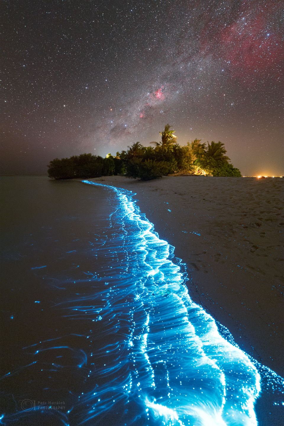 A shoreline glowing with blue bioluminescent plankton is shown, with a stand of trees in the distance. Above all is a starry sky which includes red nebulae and the central band of our Milky Way Galaxy. Please see the explanation for more detailed information.