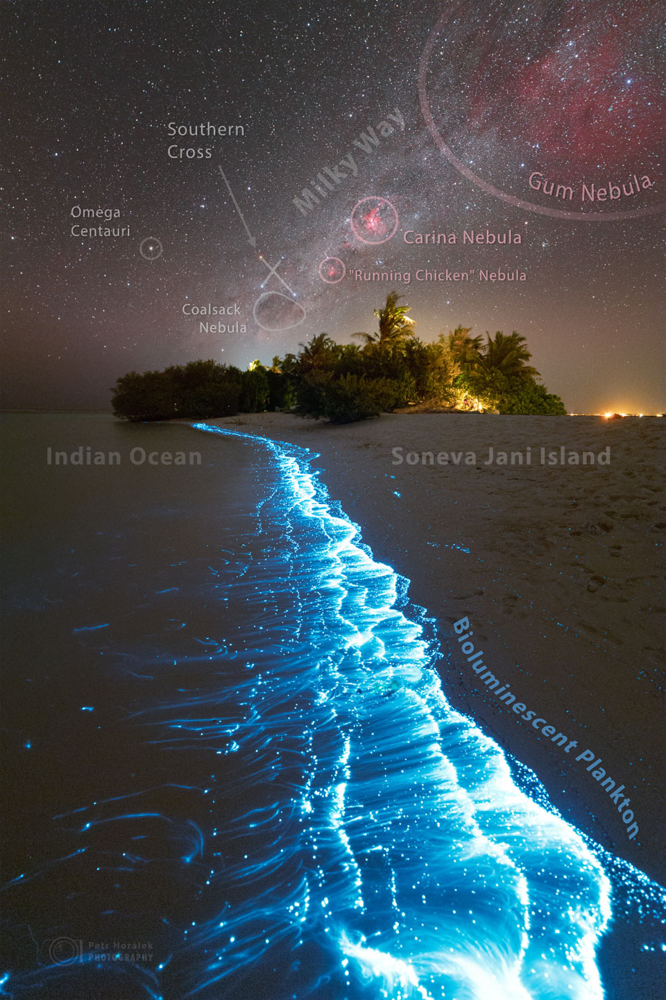A shoreline glowing with blue bioluminescent plankton is shown, with a stand of trees in the distance. Above all is a starry sky which includes red nebulae and the central band of our Milky Way Galaxy. Please see the explanation for more detailed information.