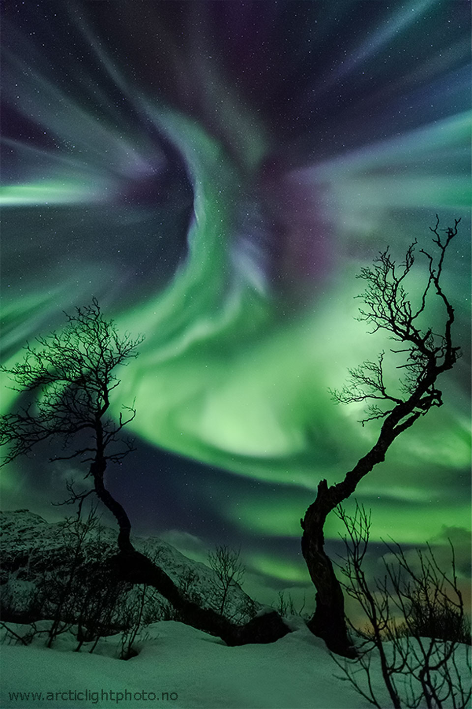 APOD: 2023 November 5 – Creature Aurora Over Norway