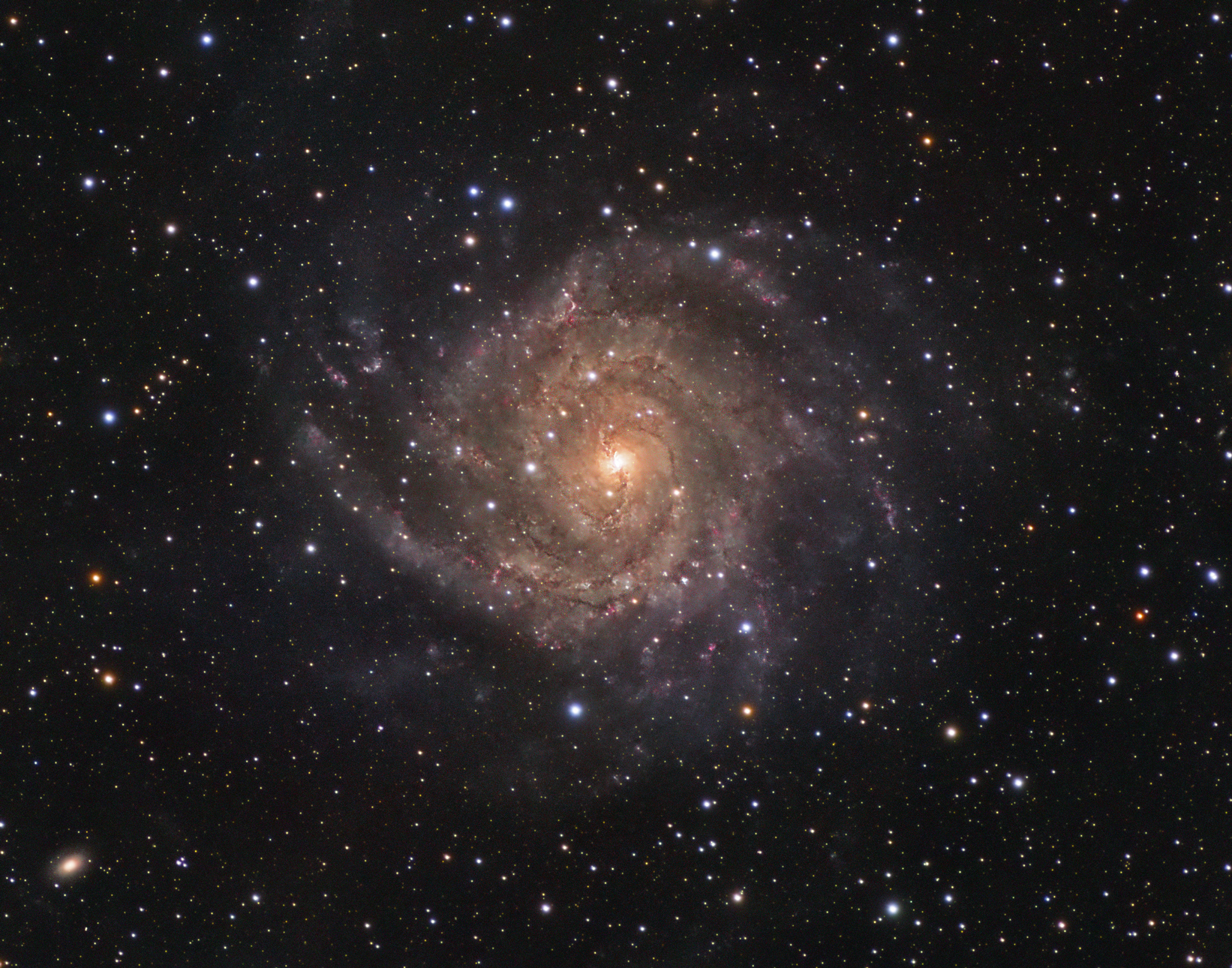 APOD: 2023 November 22 – IC 342: Hidden Galaxy in Camelopardalis