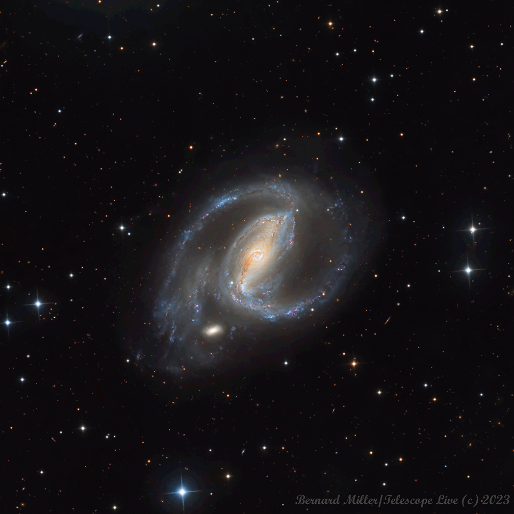 A nearby spiral galaxy is shown in great details: NGC 1097. However the galaxy is imaged twice, once with a supernova spot appearing on a lower spiral arm, and once without. The two frames blink back and forth. Please see the explanation for more detailed information.