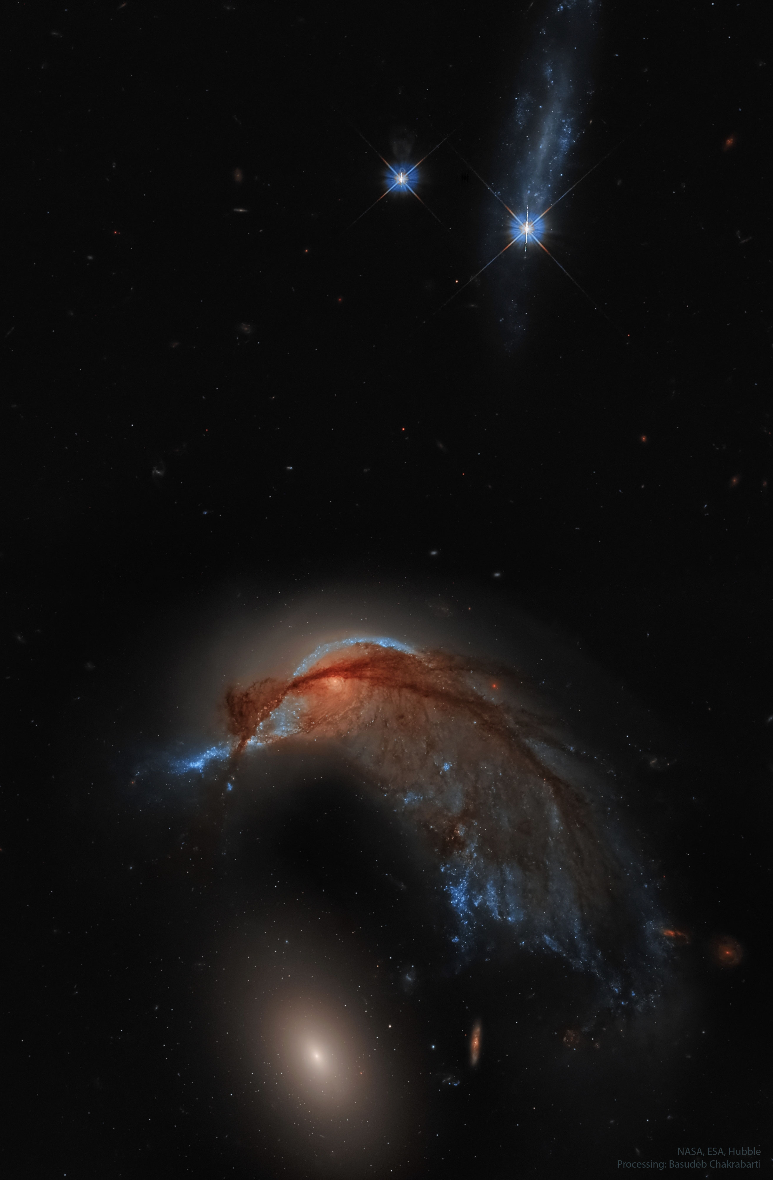 APOD: 2023 September 25 – Arp 142: The Hummingbird Galaxy