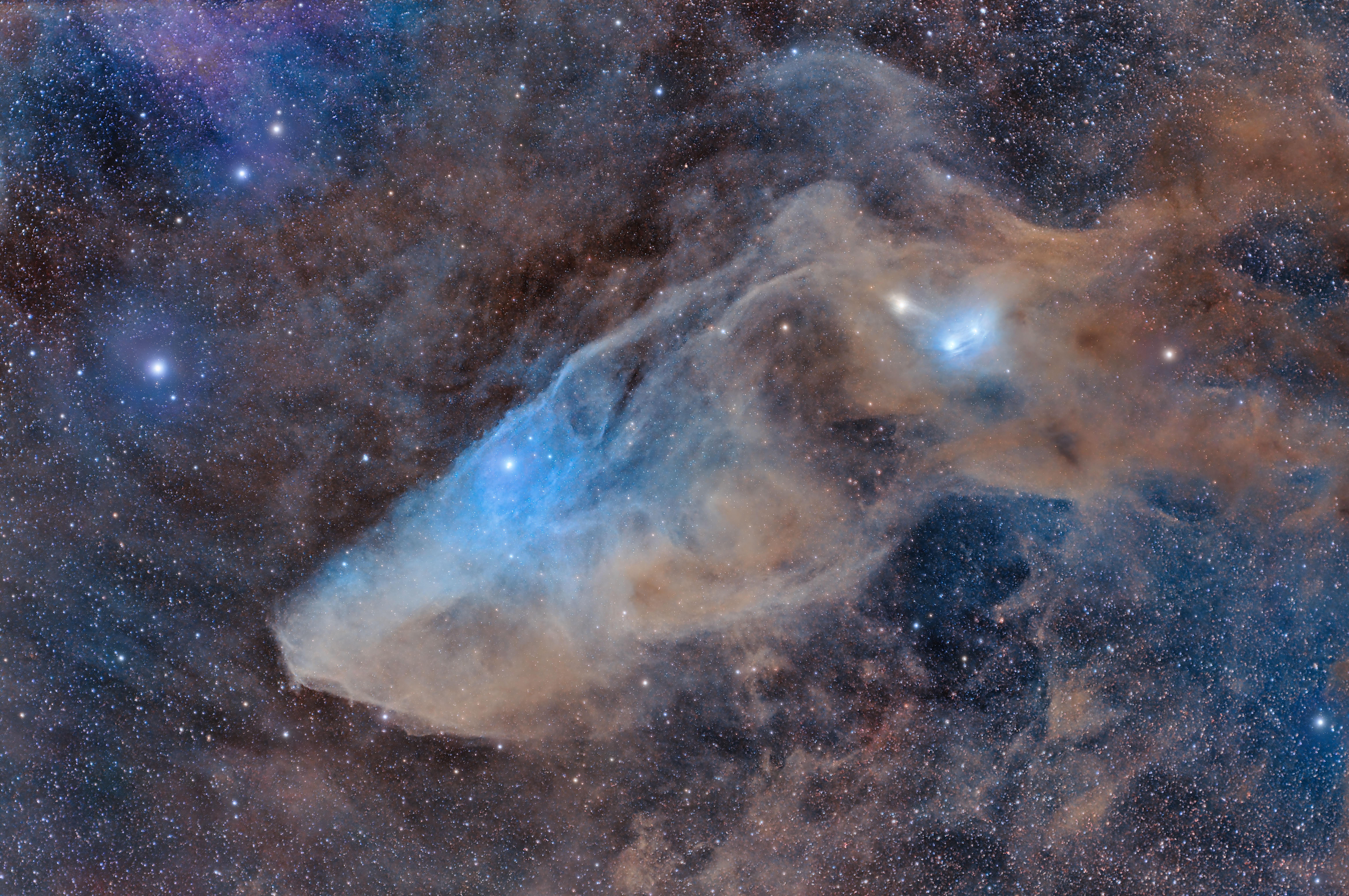 APOD: 2023 September 26 – IC 4592: The Blue Horsehead Reflection Nebula
