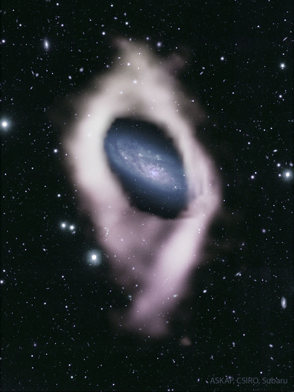 APOD: 2023 September 13 – NGC 4632: Galaxy with a Hidden Polar Ring