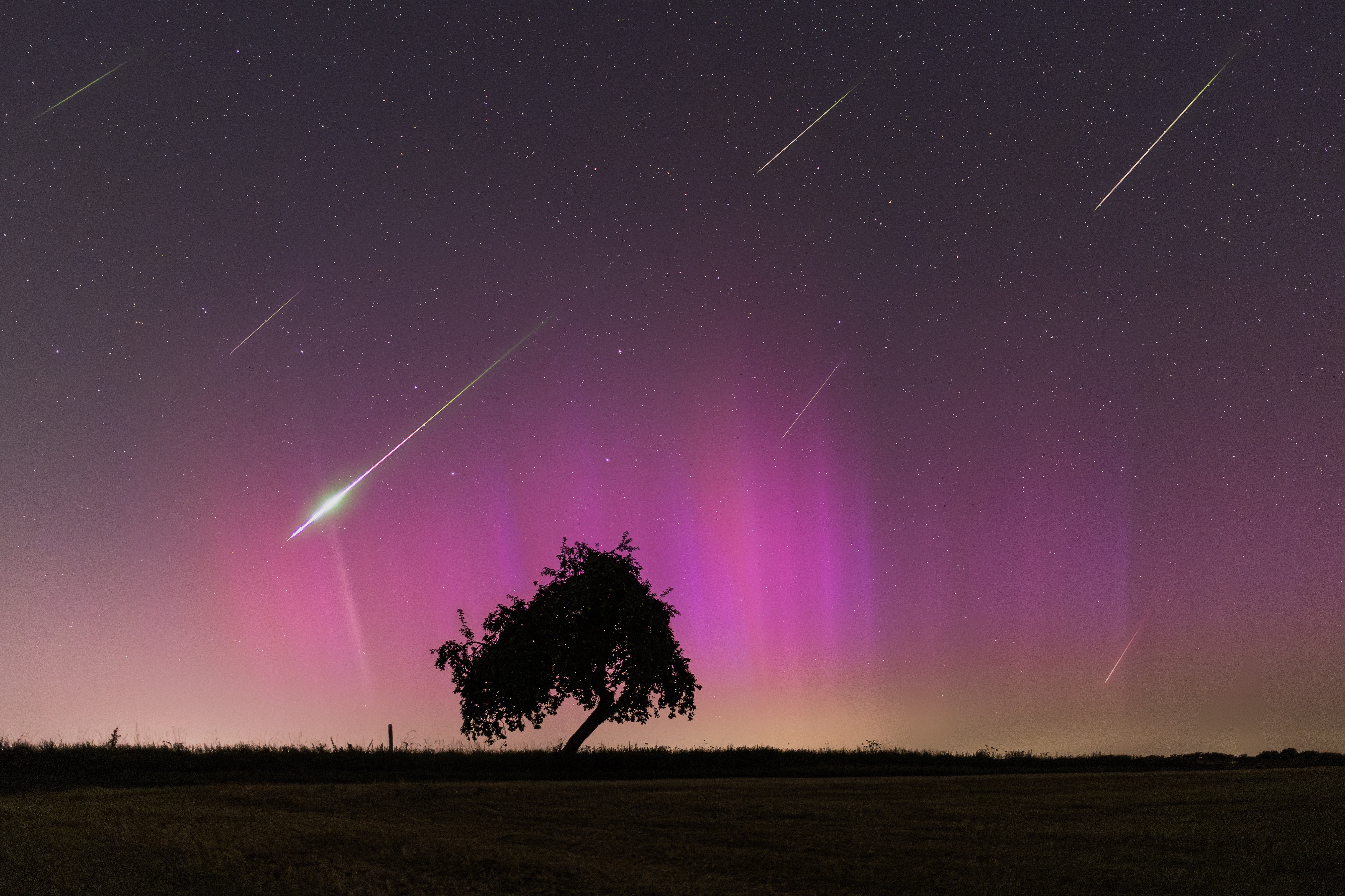 A night sky filled with stars is colored partly purple by an aurora. Also visible are several streaks which are meteors in this image composite. In the foreground is a field and lone tree. Part of the tree slants at the nearly the same angle of the meteor streaks. Please see the explanation for more detailed information.