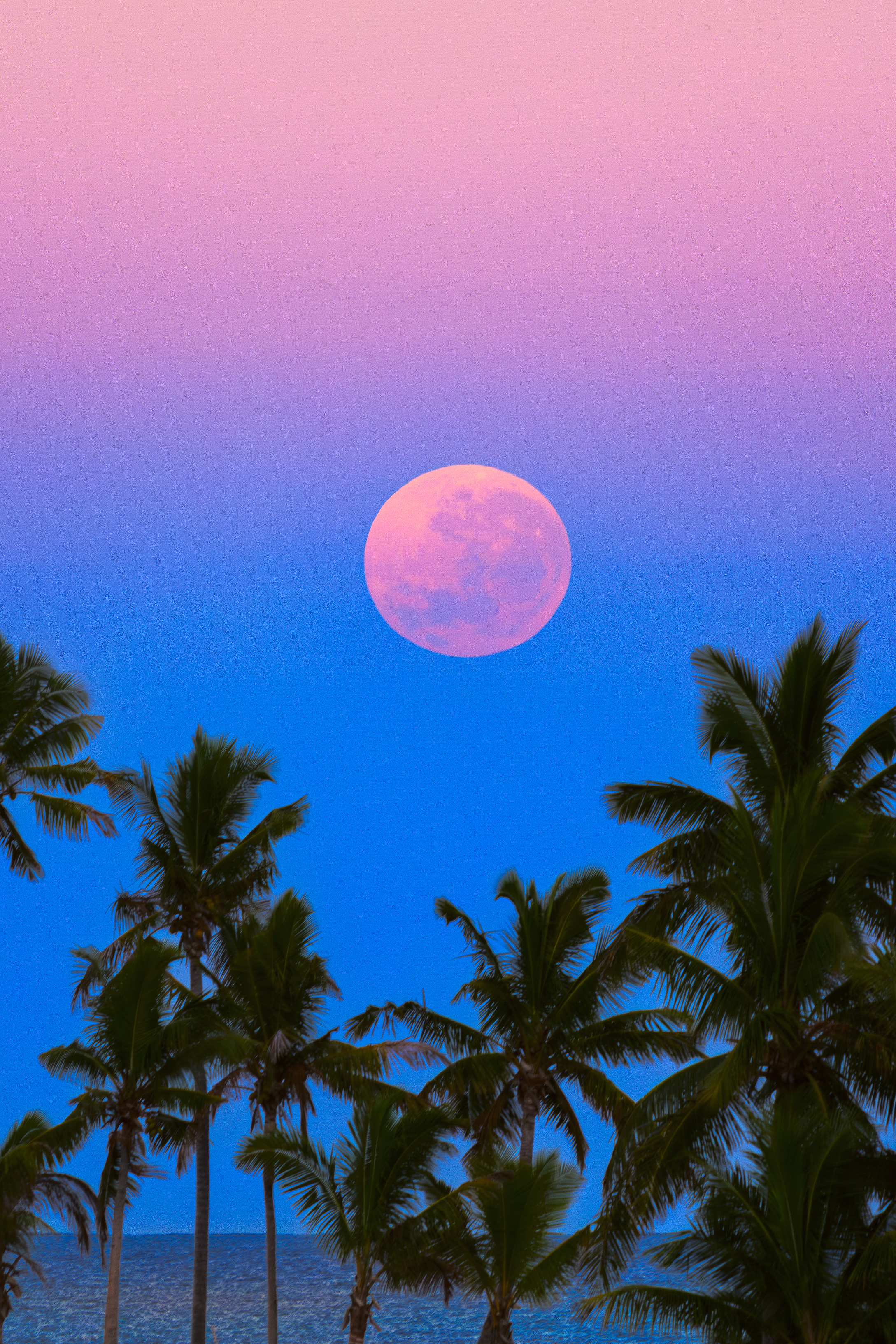 APOD: 2024 August 24 – South Pacific Shadowset