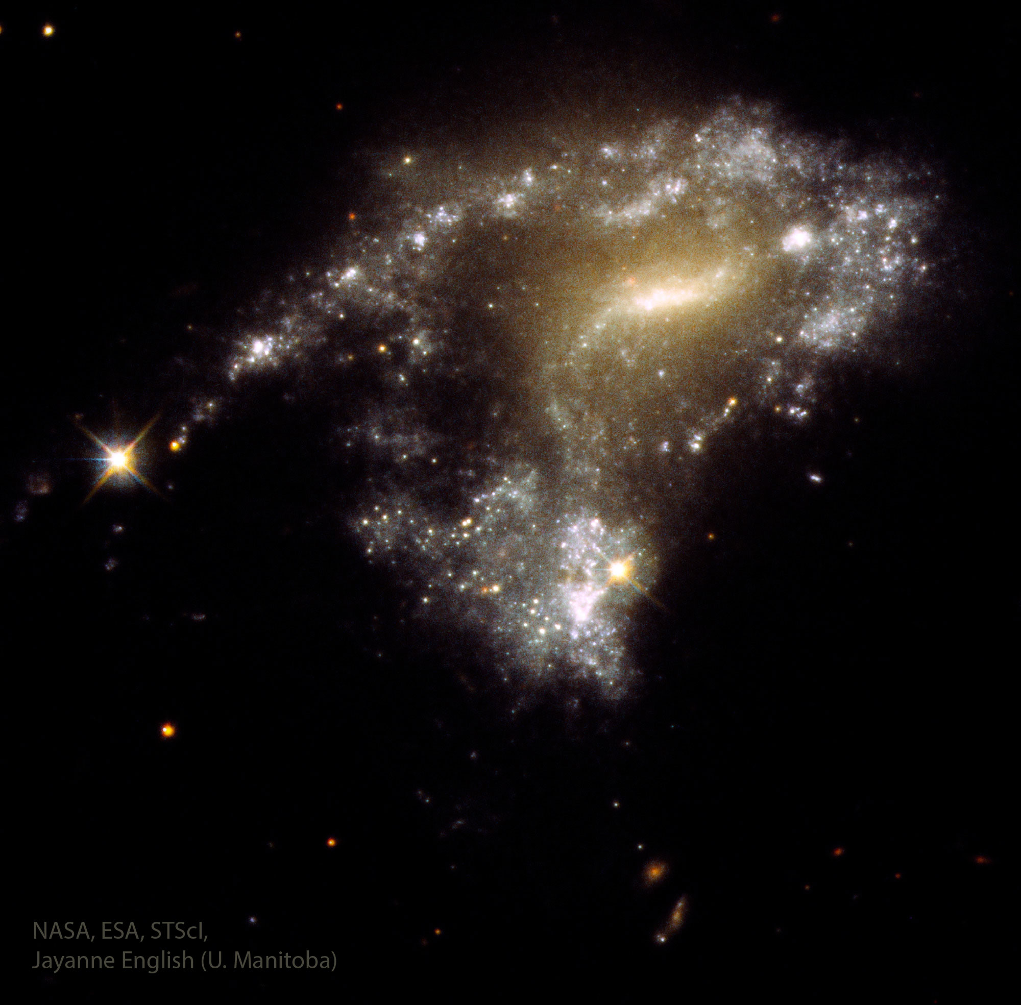 A distorted galaxy is shown with a string of stars trailing off on the left. Please see the explanation for more detailed information.
