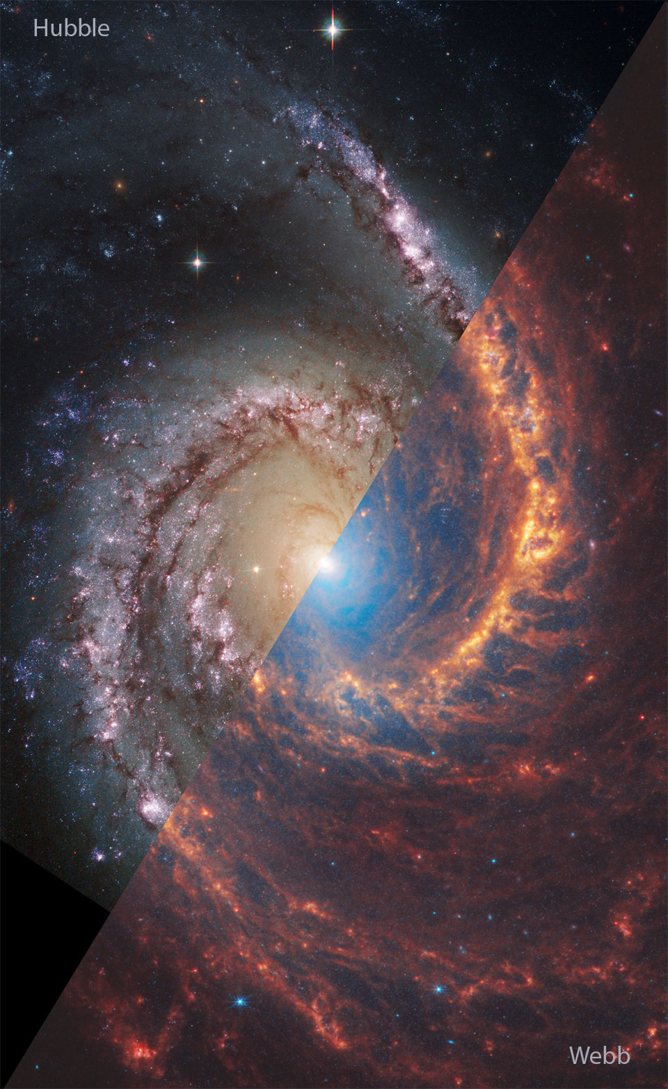 APOD: 2024 February 6 – NGC 1566: A Spiral Galaxy from Webb and Hubble
