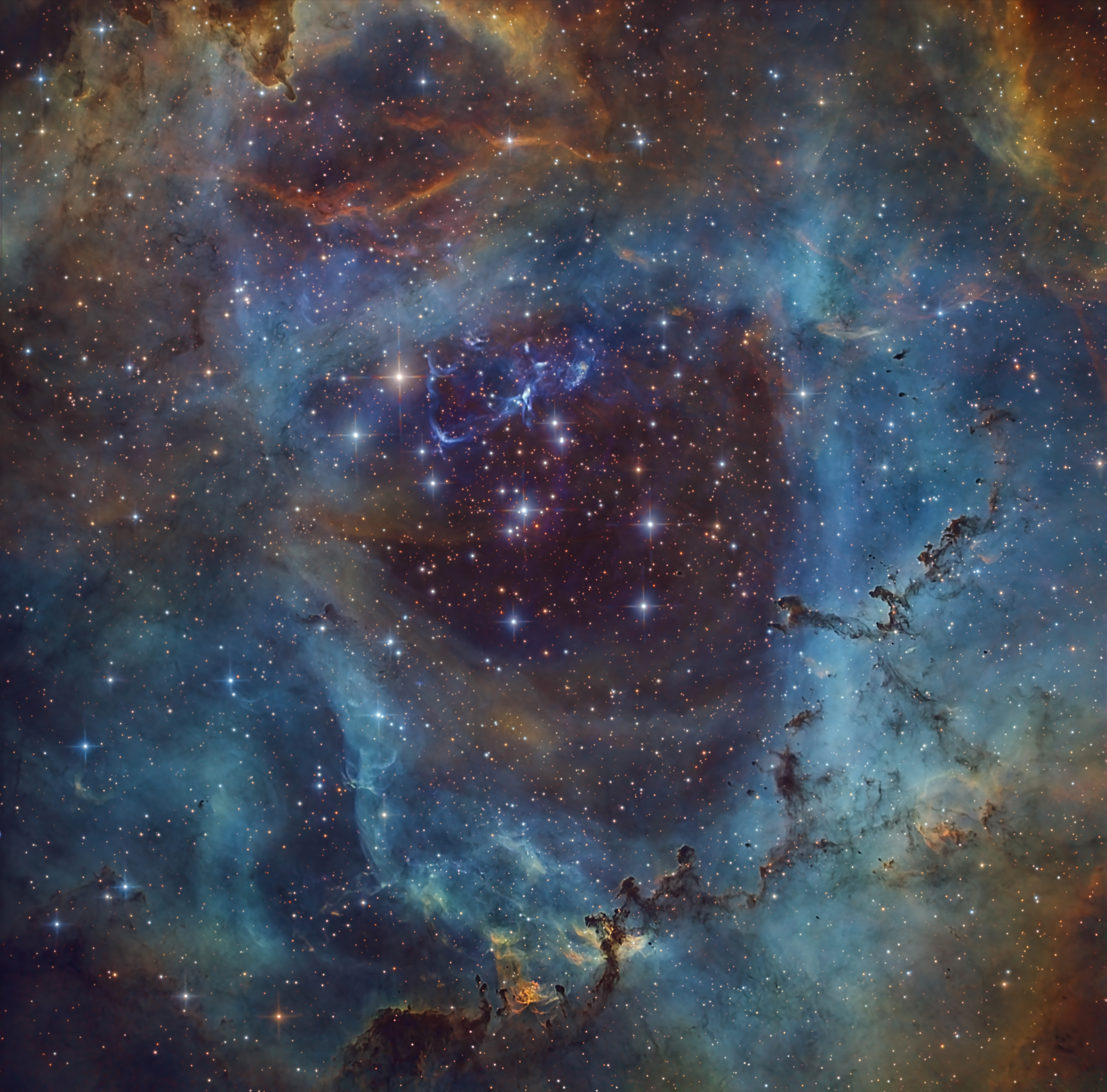 APOD: 2024 February 9 – When Roses Aren’t Red