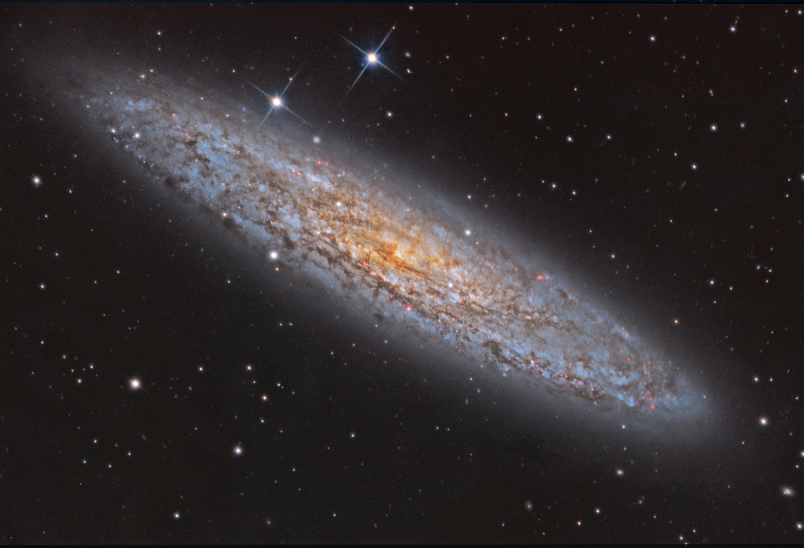APOD: 2024 February 15 – NGC 253: Dusty Island Universe
