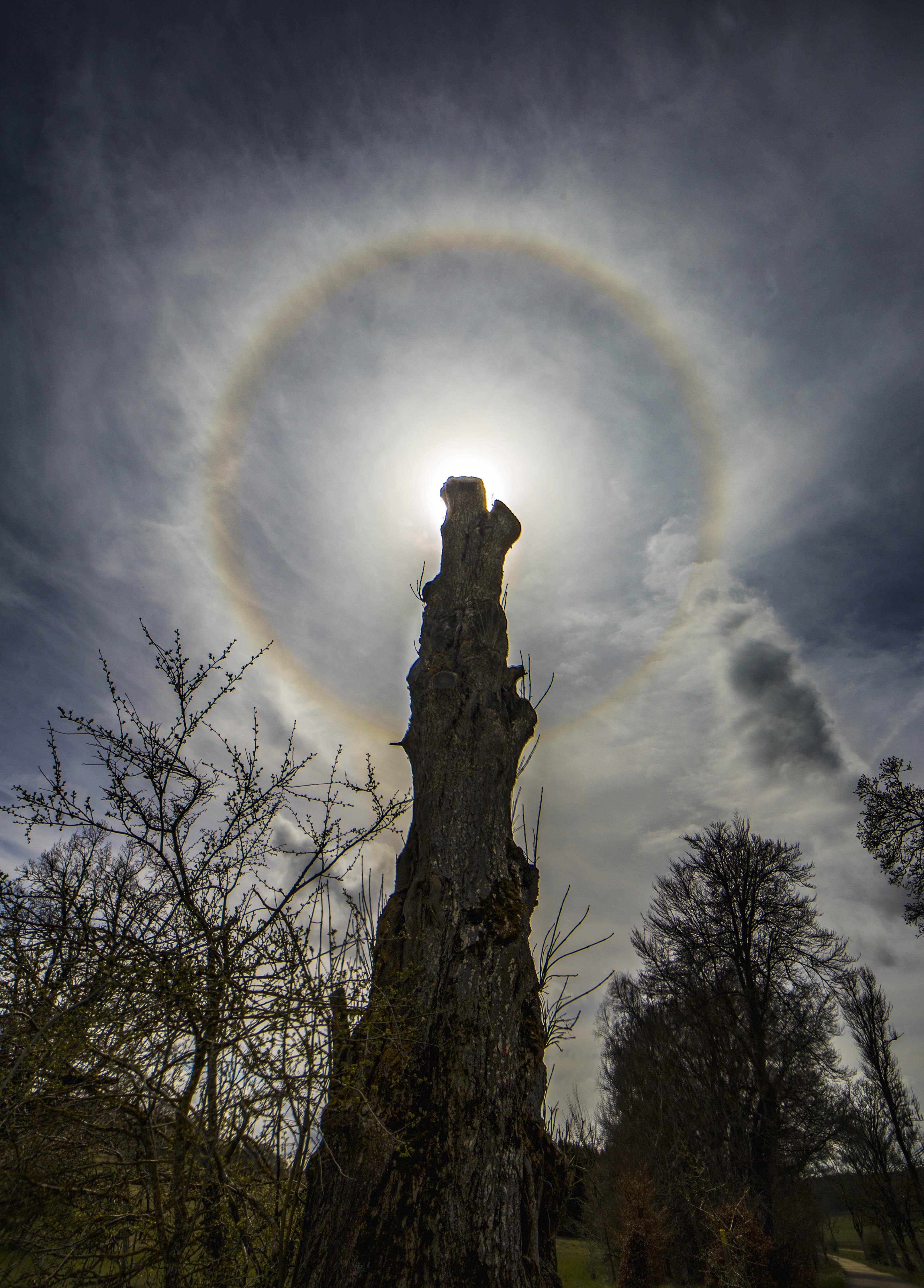 APOD: 2024 January 13 – Circling the Sun