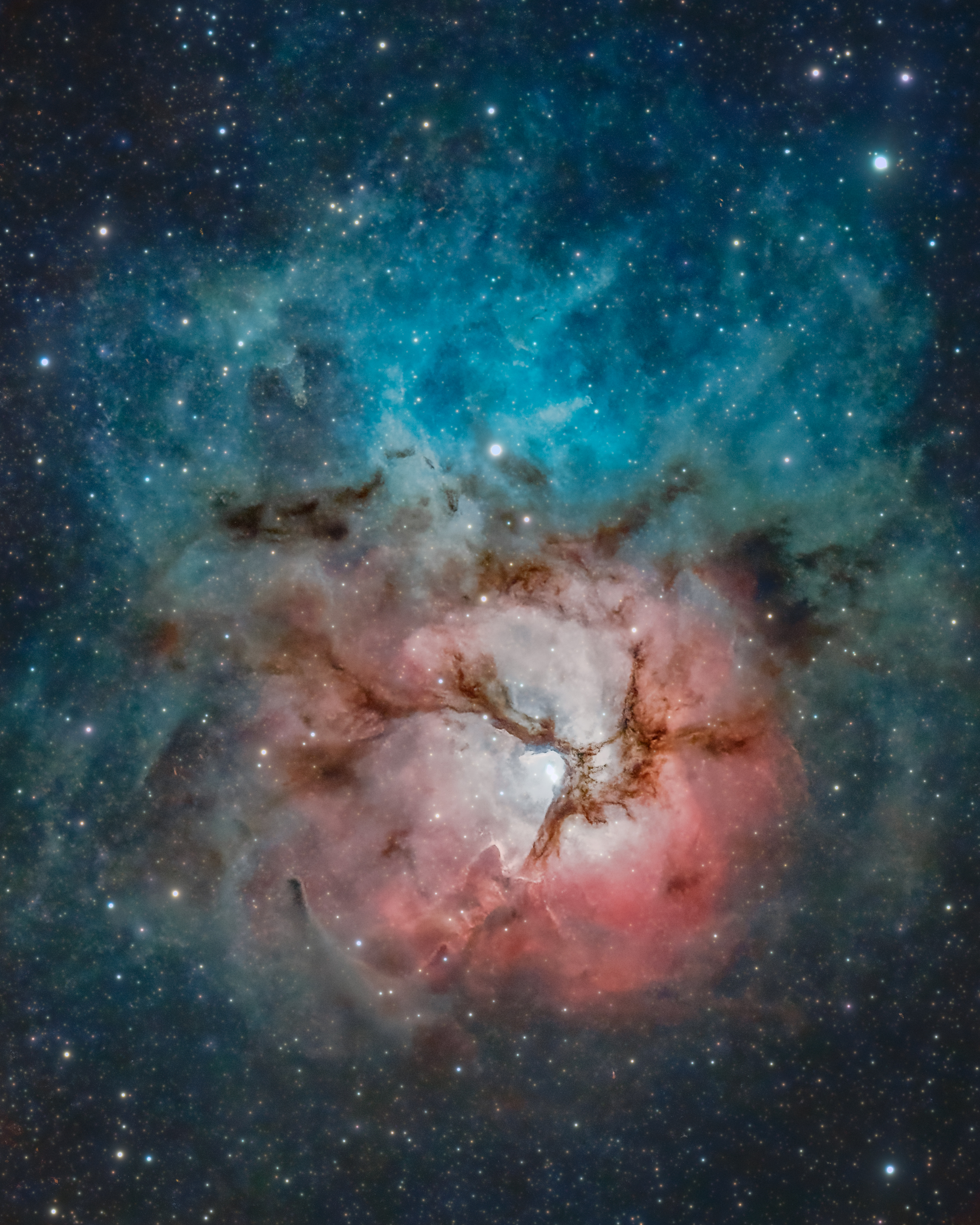 APOD: 2024 July 4 – A Beautiful Trifid