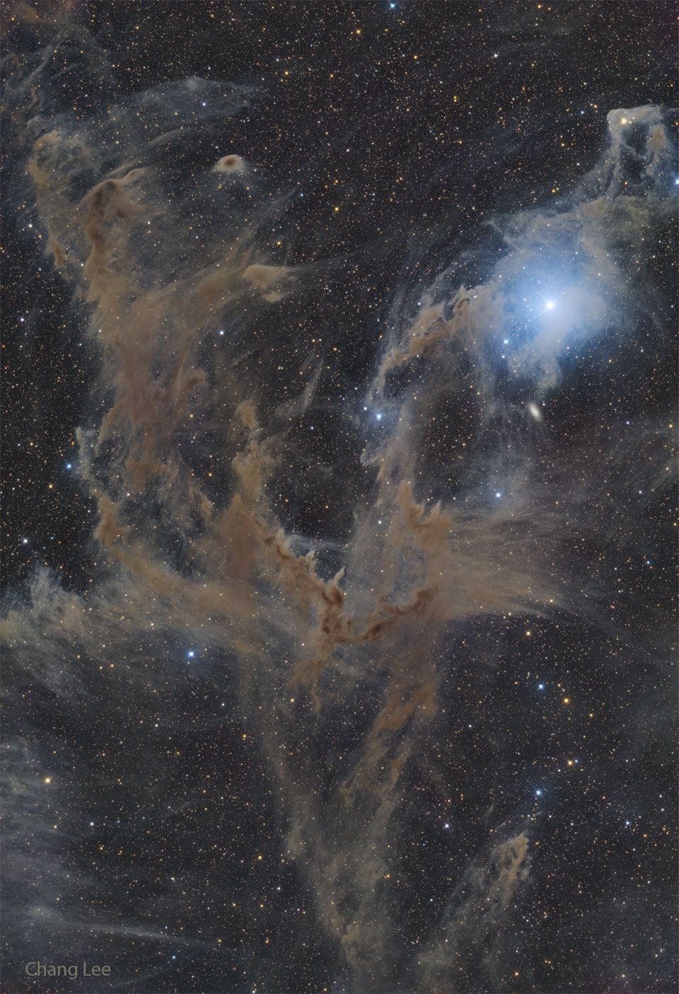 APOD: 2024 July 22 – Chamaeleon Dark Nebulas