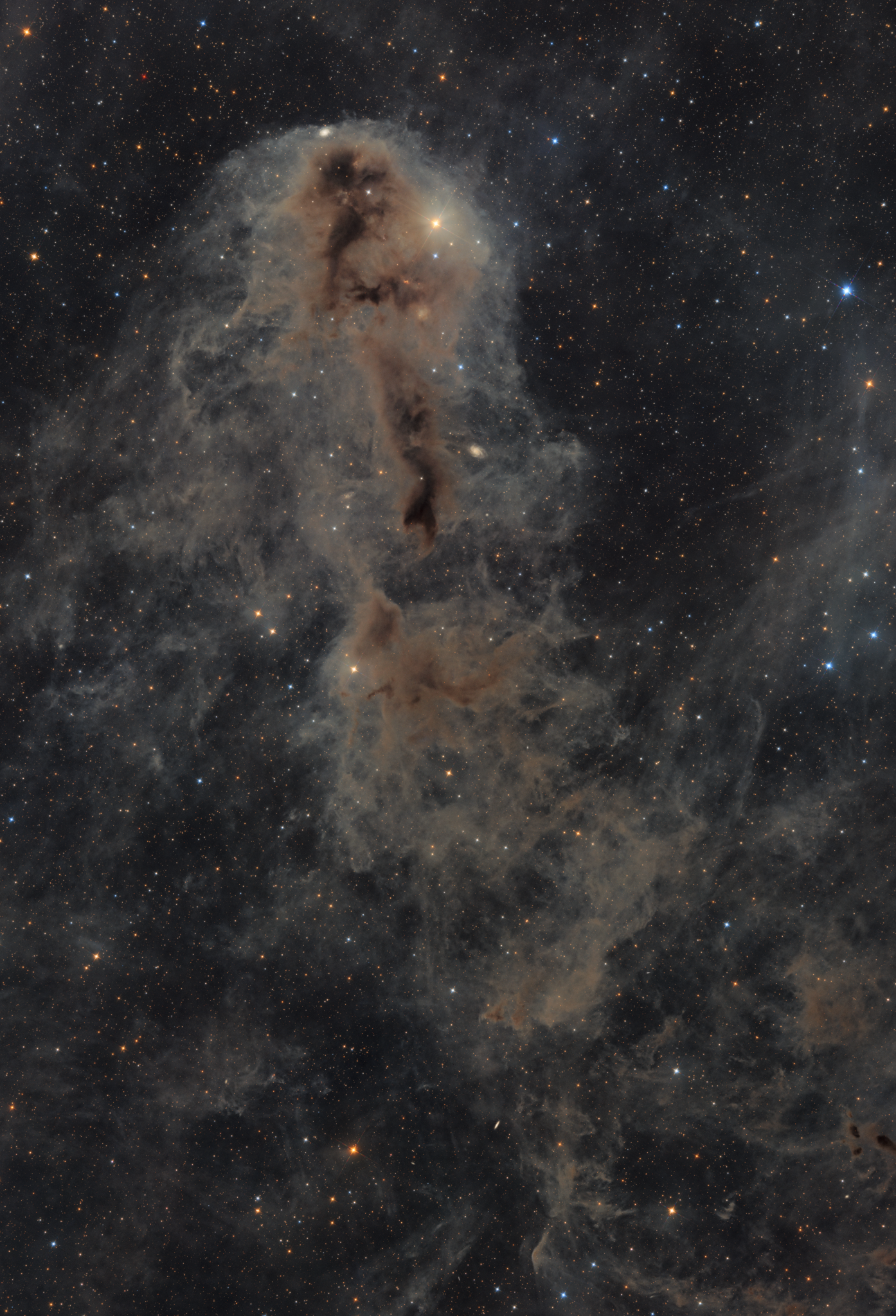 Lynds Dark Nebula 1251 — APOD for 2024-06-22