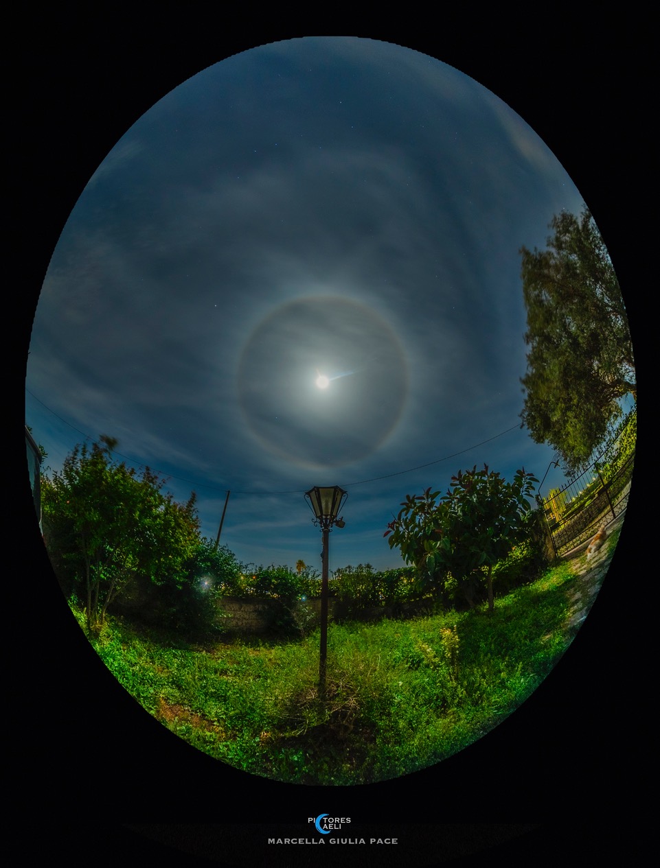 APOD: 2024 June 20 – Sandy and the Moon Halo
