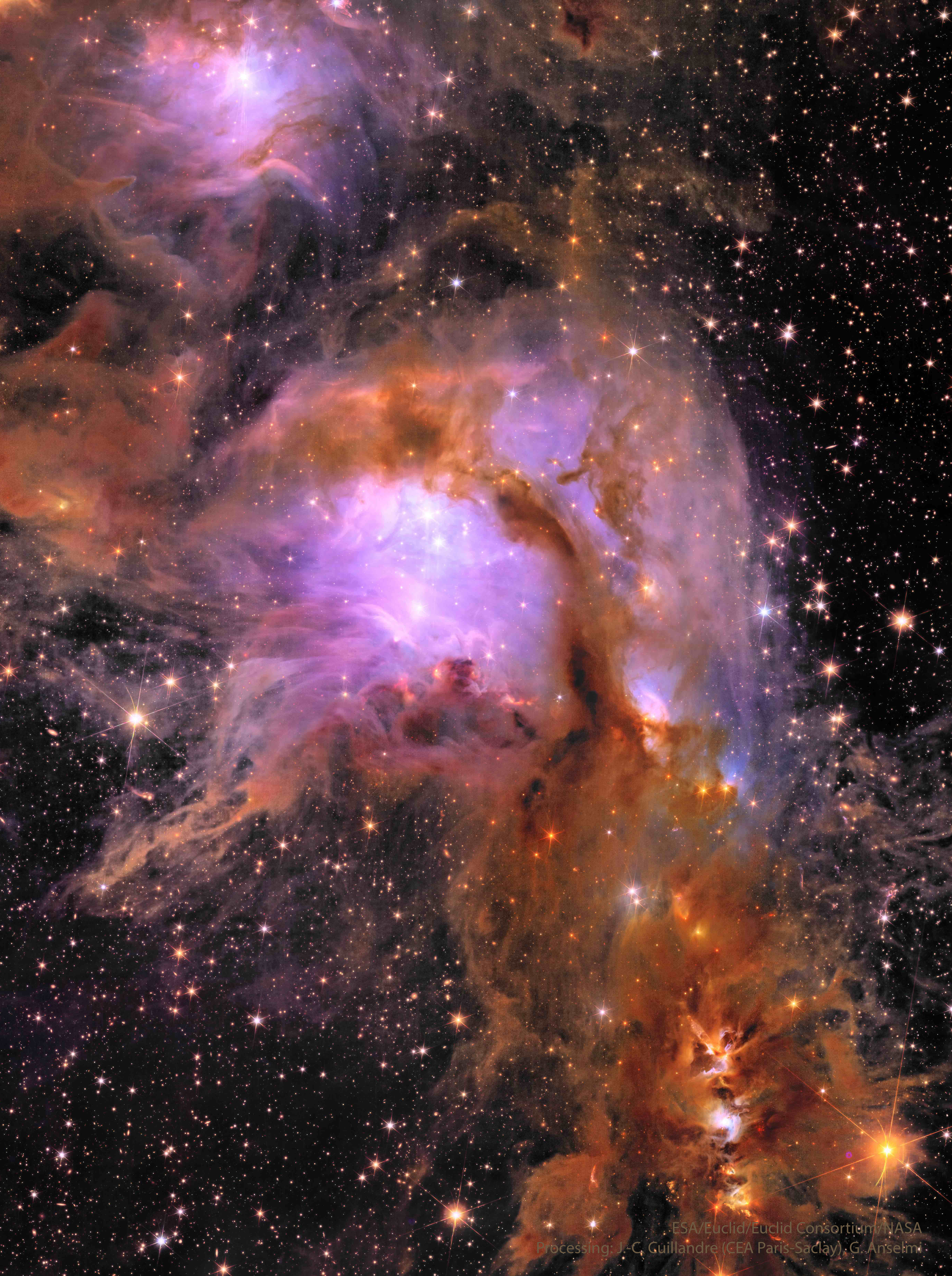 APOD: 2024 May 24 – M78 from the Euclid Space Telescope