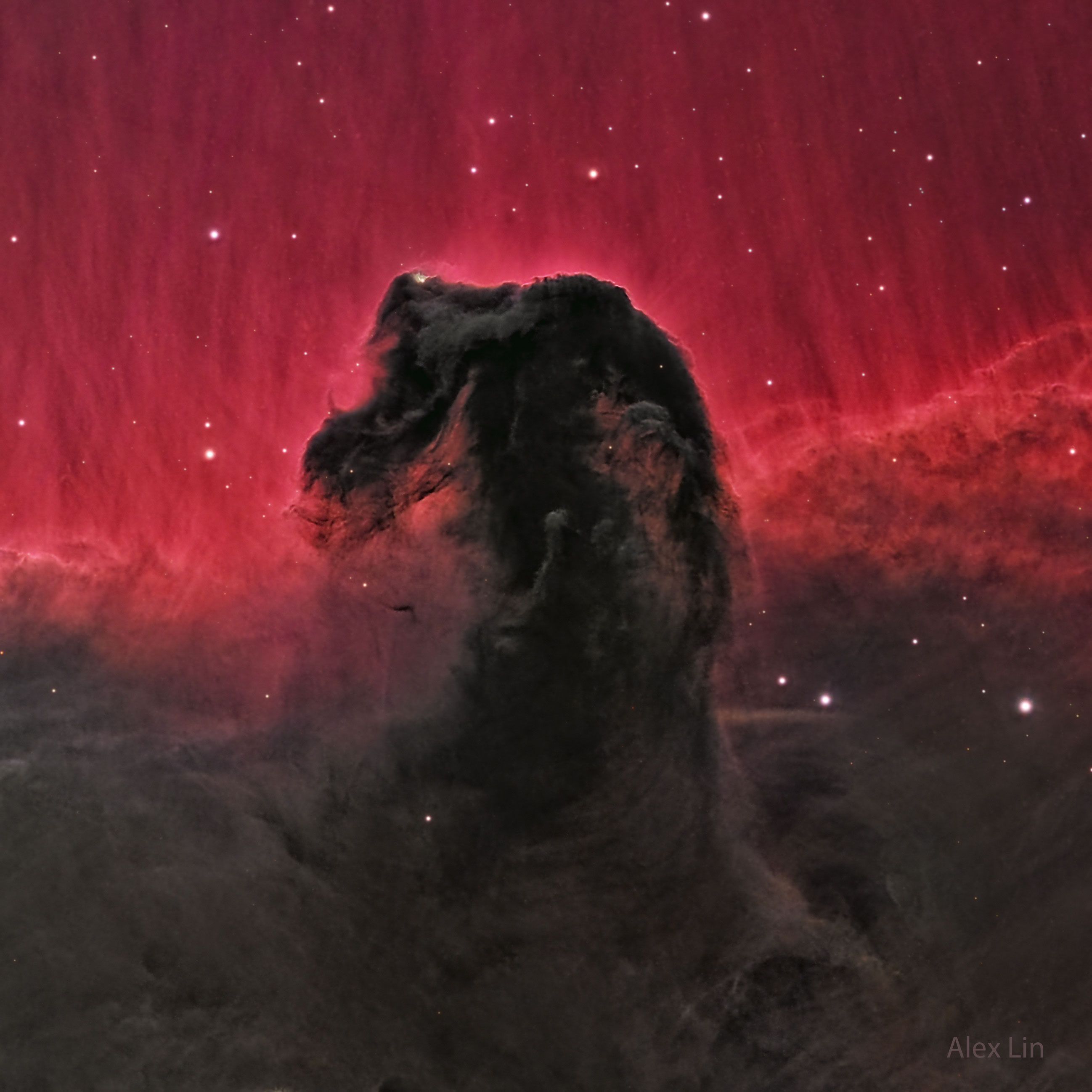 The top half glows red, while the bottom half is filled with dark dust. Protruding into the red is a dark dust lane that resembles a horse's head. Please see the explanation for more detailed information.