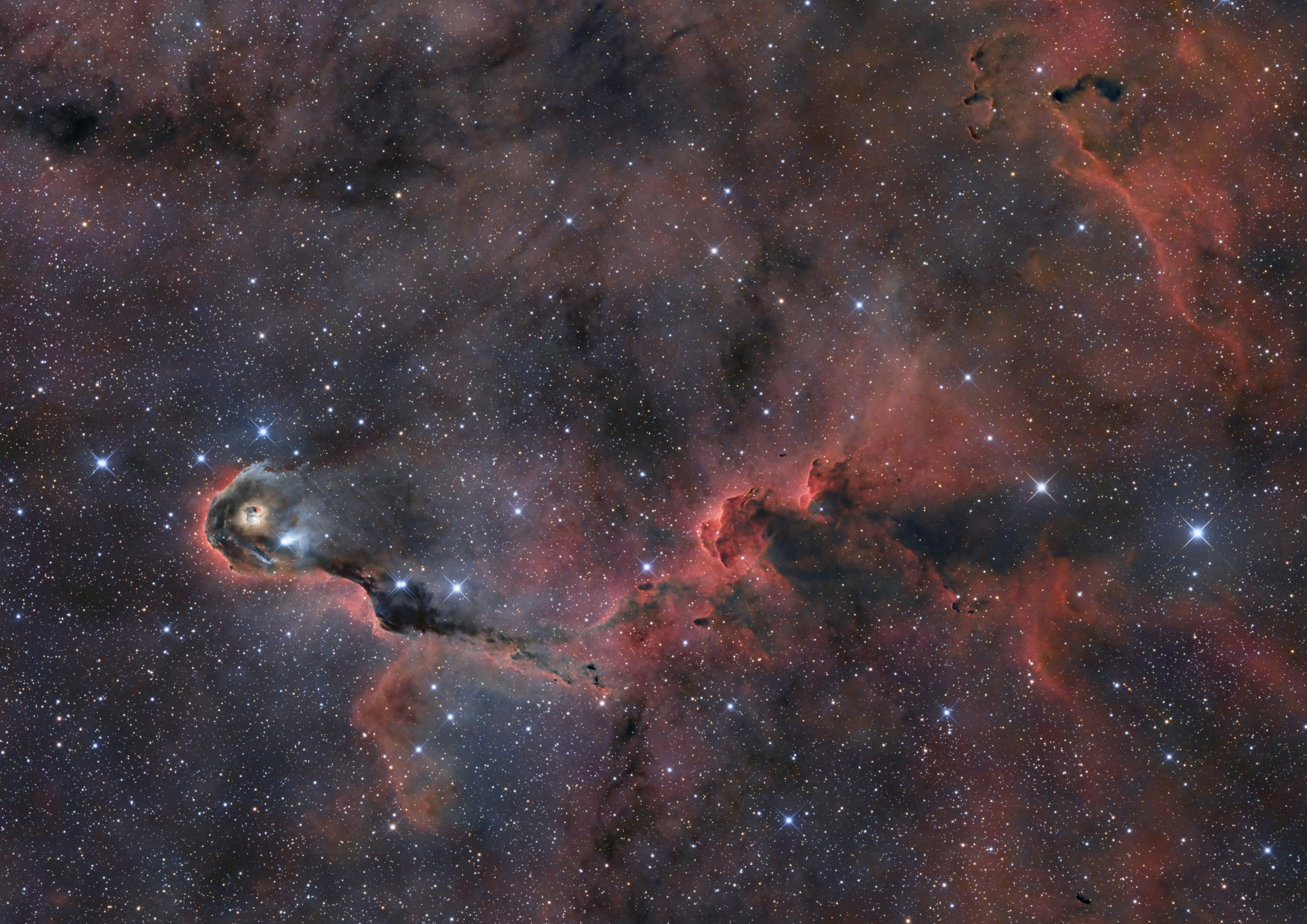 APOD: 2024 November 21 – The Elephant s Trunk in Cepheus