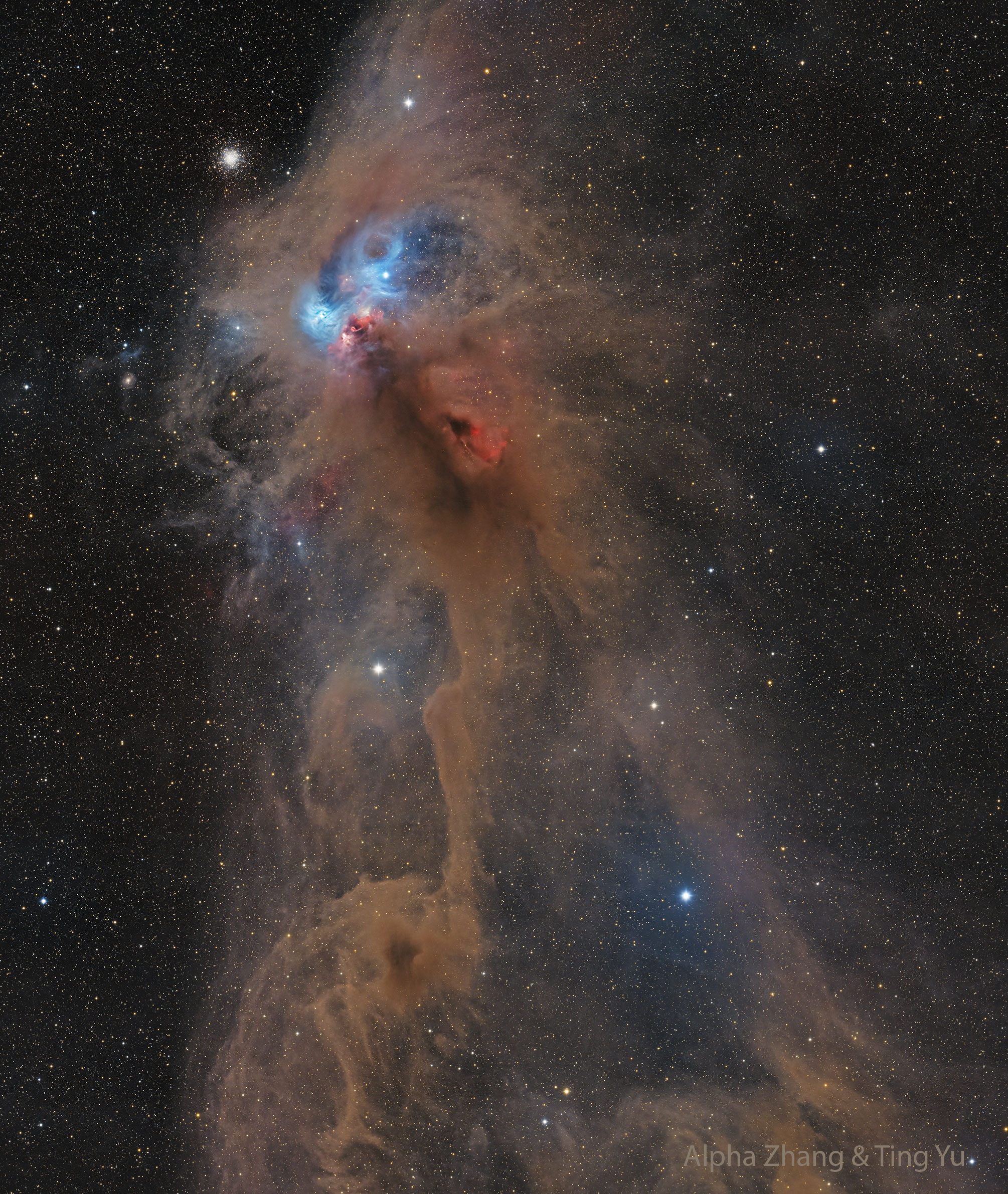 A brown dusty nebula is shown in front of a star field. The nebula looks to some like a baboon, with red emission stemming from the mouth and blue reflection from the eyes. Please see the explanation for more detailed information.