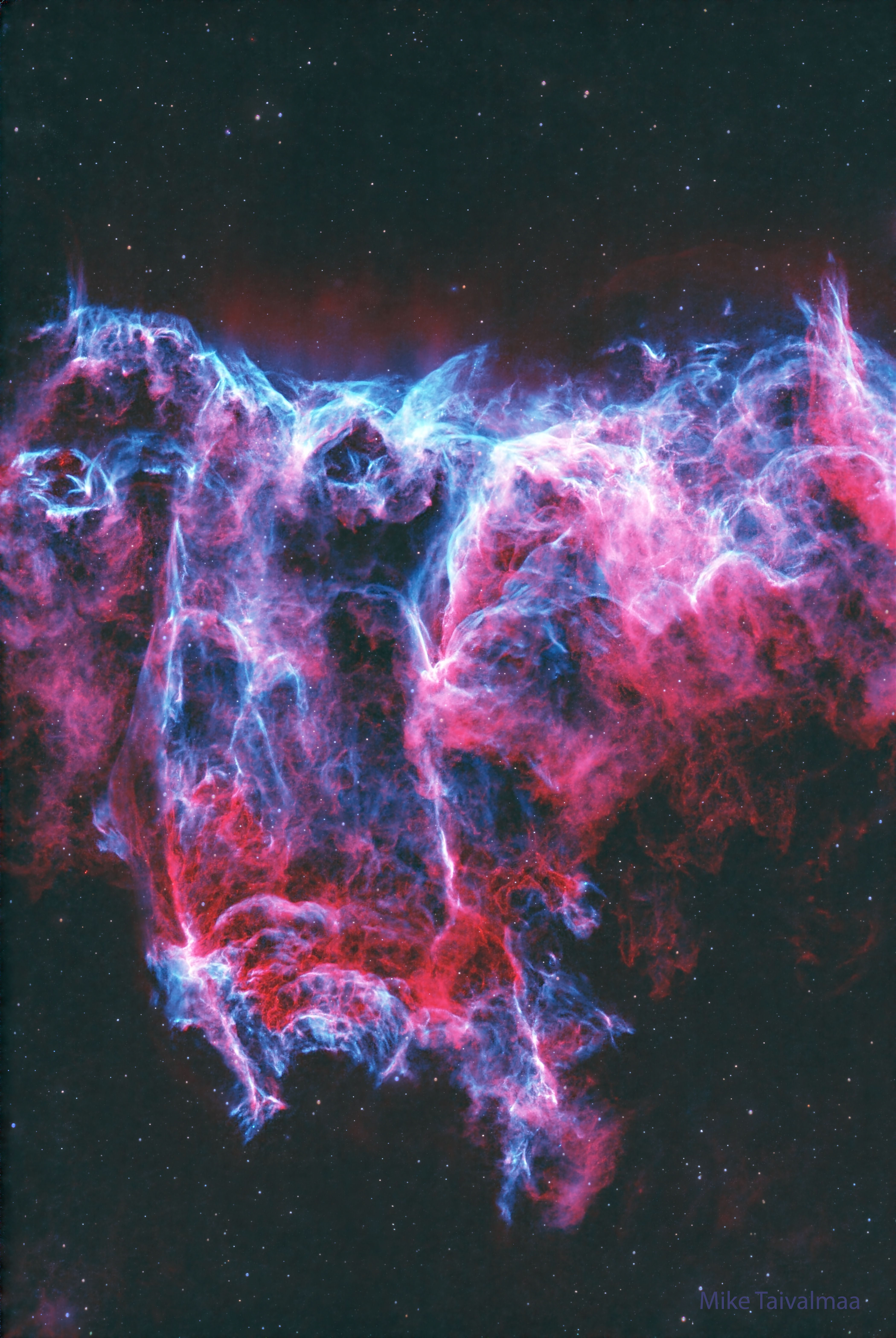 APOD: 2024 September 4 - NGC 6995: The Bat Nebula - NASA Science