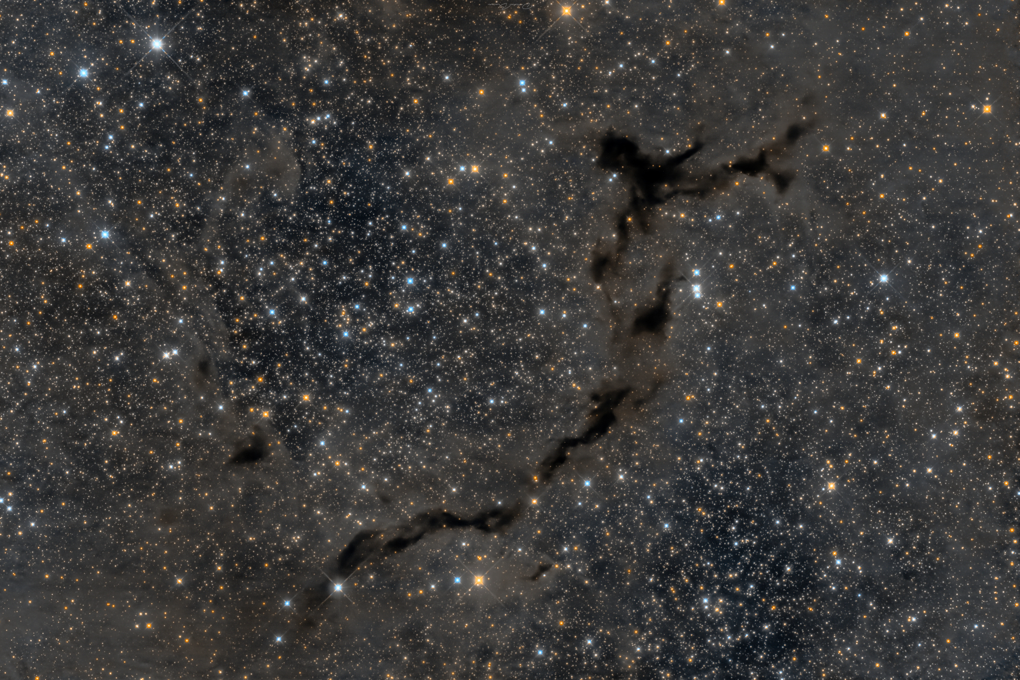 APOD: 2024 September 19 – The Dark Seahorse of Cepheus