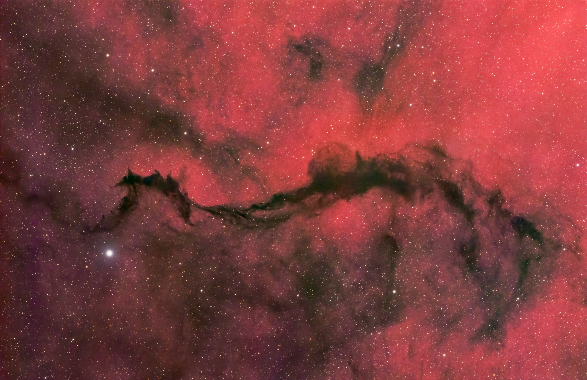APOD: 2025 August 29 – A Dark Veil in Ophiuchus