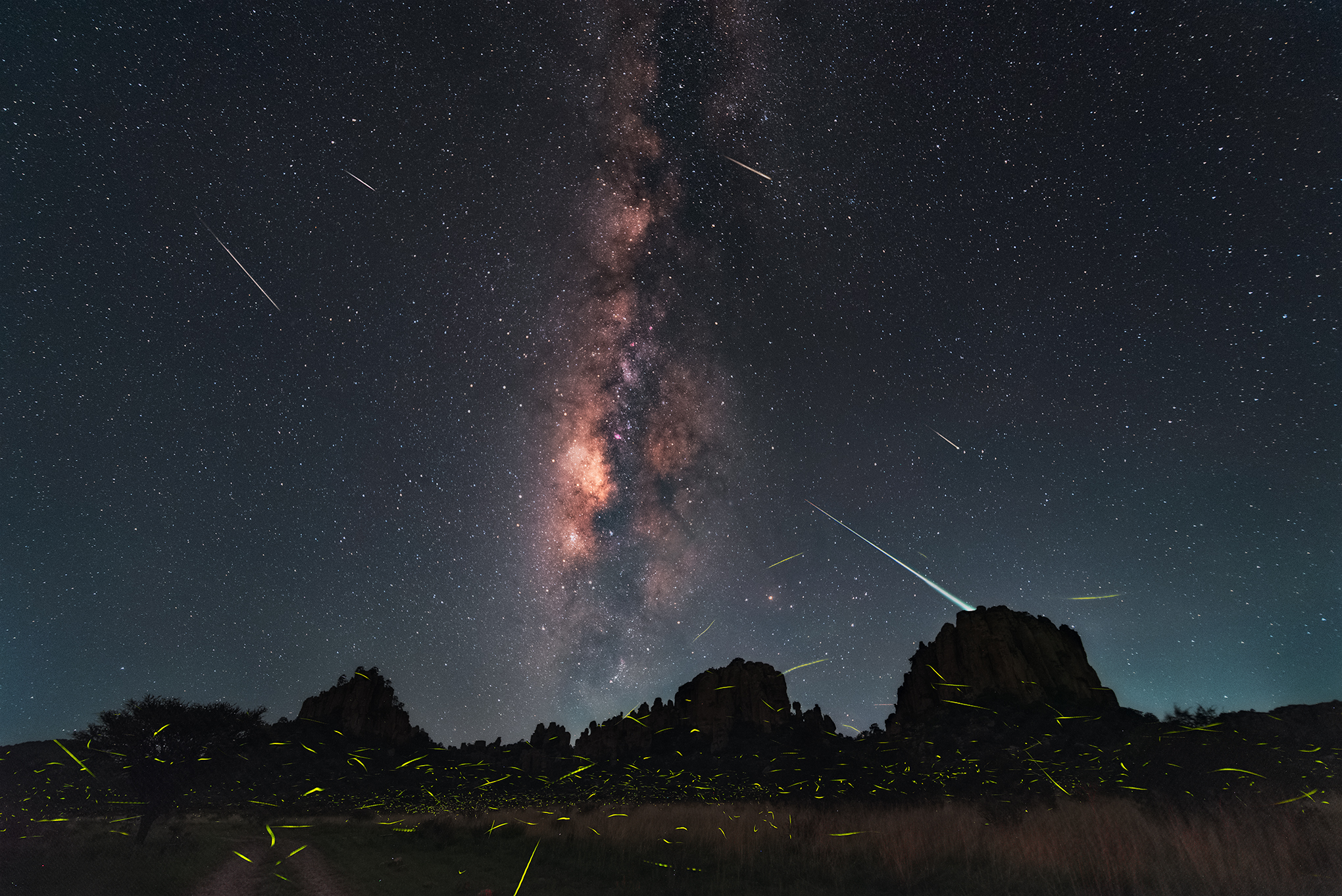 APOD: 2025 August 2 – Fireflies, Meteors, and Milky Way