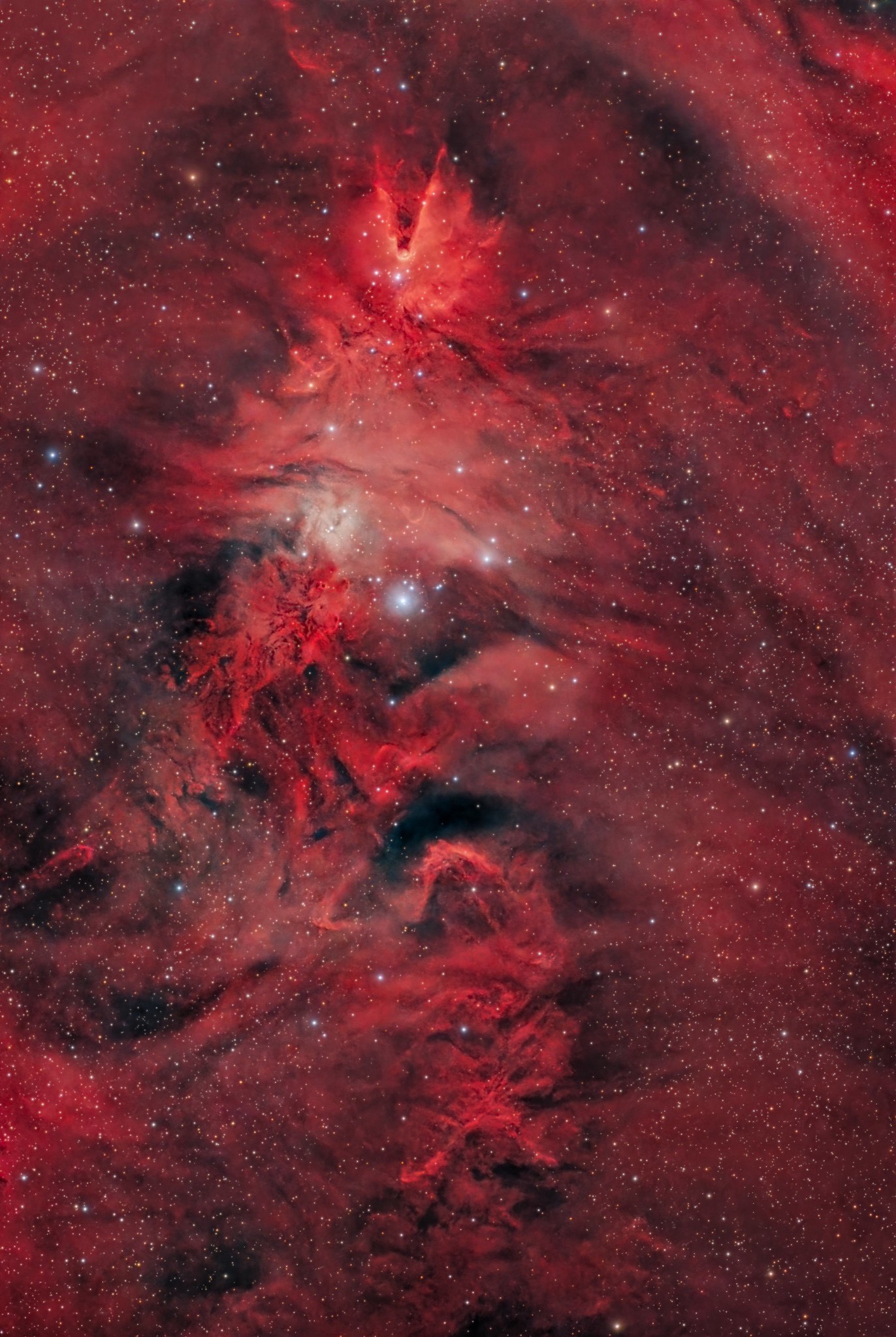 APOD: 2025 December 25 – Unicorn, Fox Fur and Christmas Tree