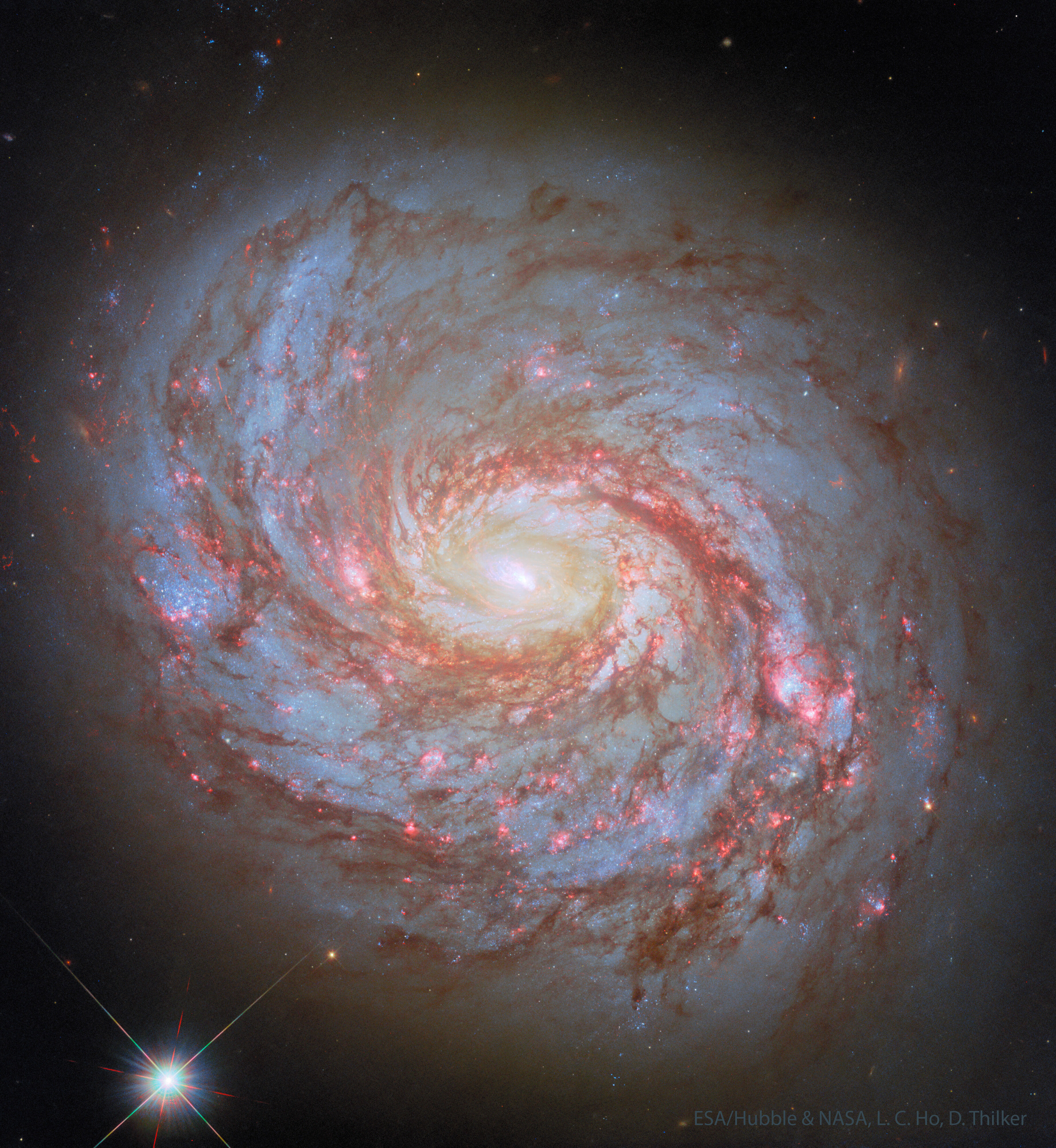 APOD: 2025 December 2 – M77: Spiral Galaxy with an Active Center