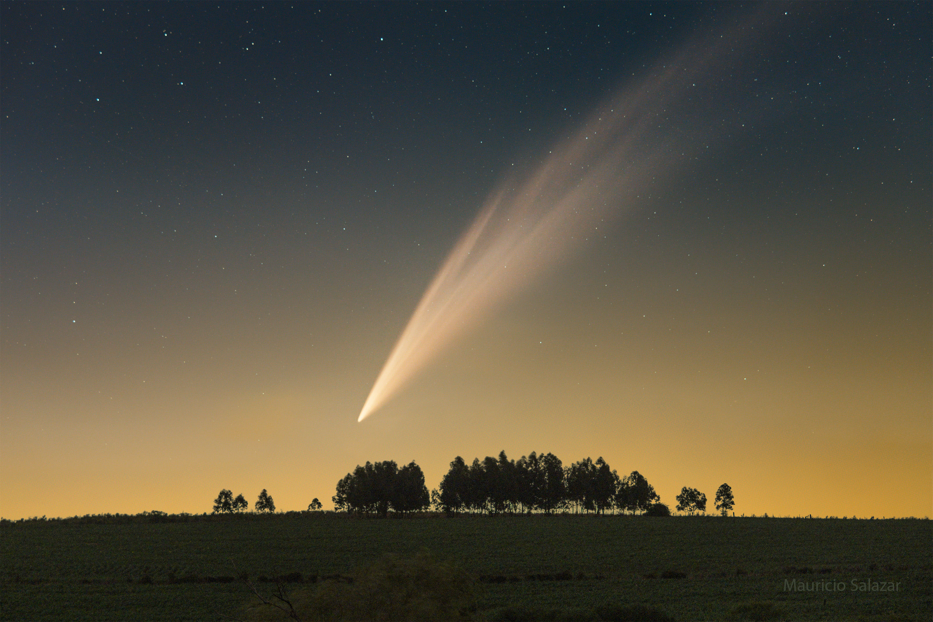 A foreground grass field is shown below a distant field of stars. On the grass field are some trees. Dwarfing the trees, in the sky, is a comet with a long tail. Please see the explanation for more detailed information.