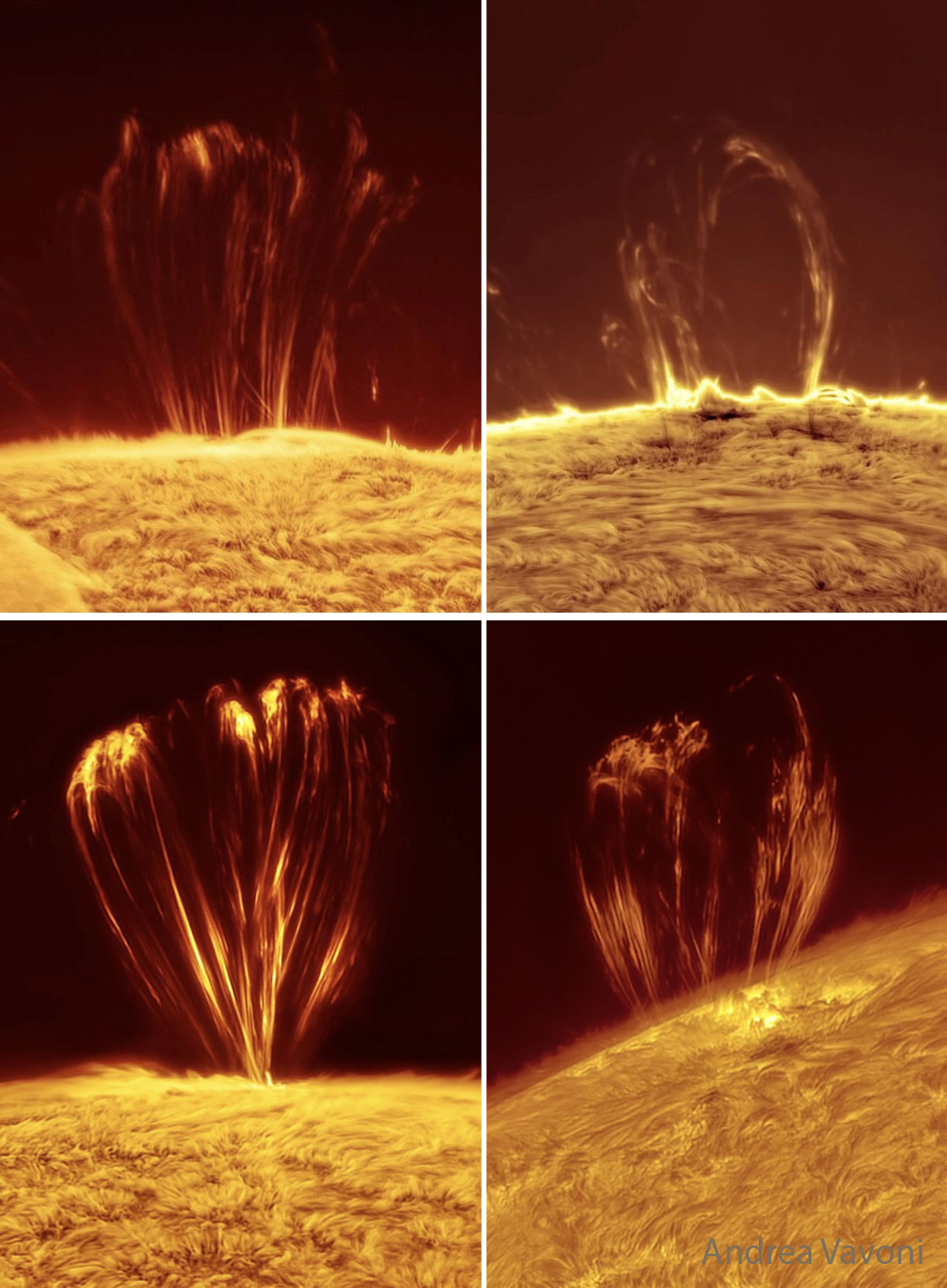 APOD: 2025 July 30 – Coronal Loops on the Sun