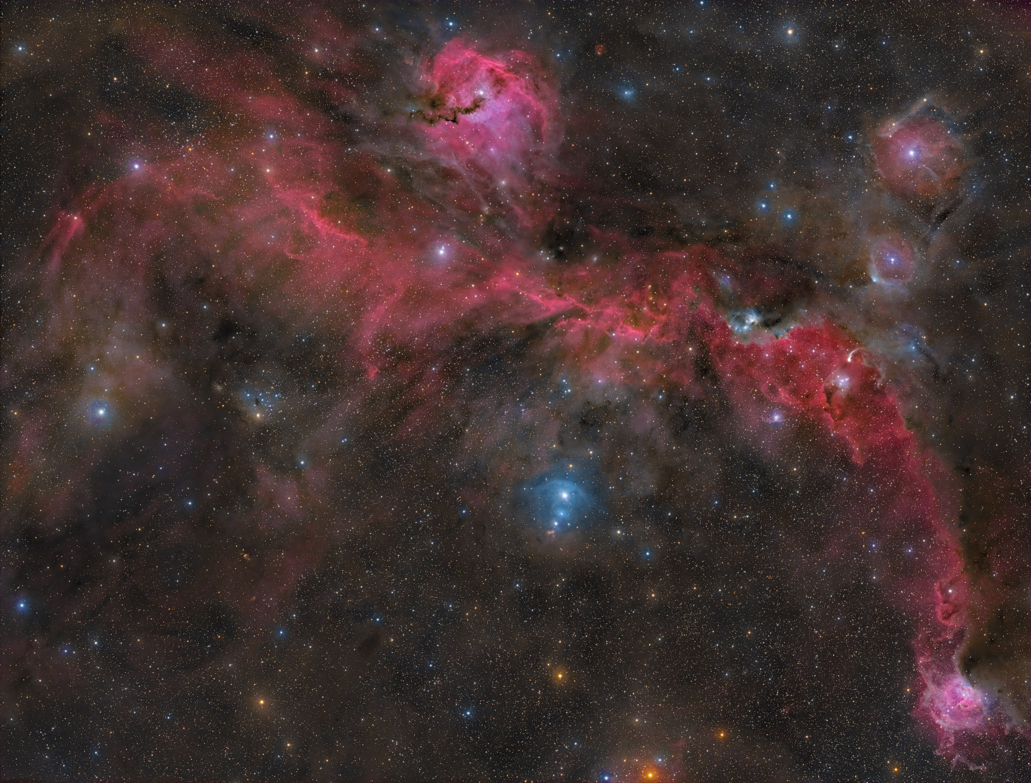 APOD: 2025 June 26 – The Seagull Nebula