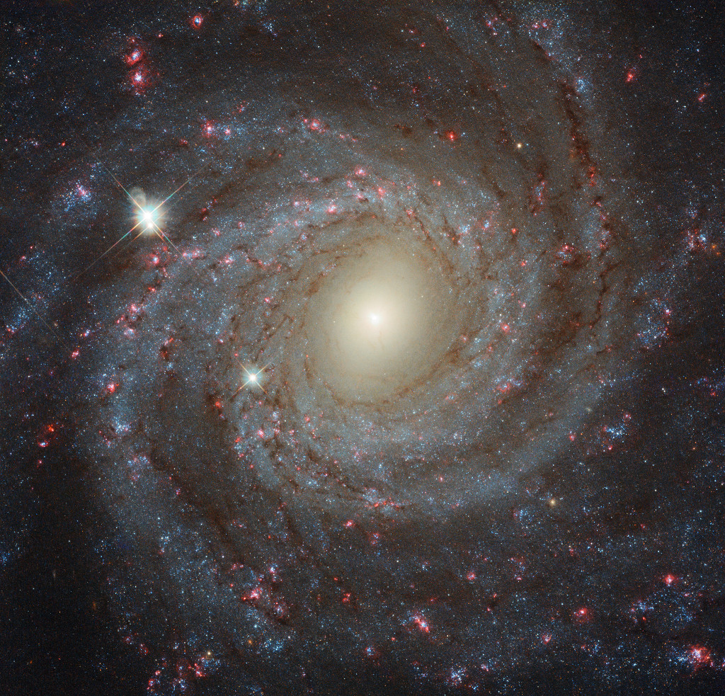 APOD: 2025 June 8 – Facing NGC 3344