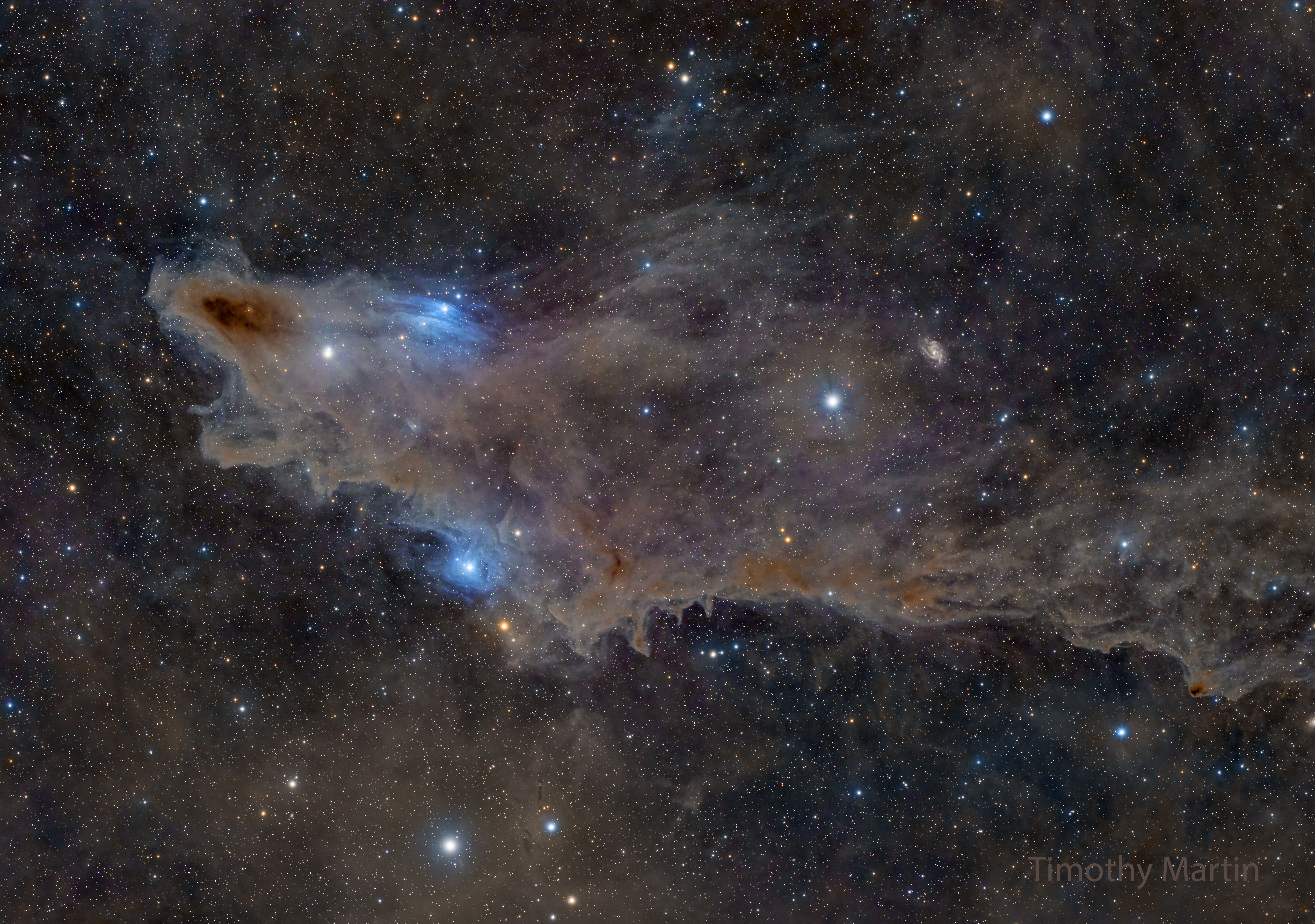APOD: 2025 March 18 – LDN 1235: The Shark Nebula
