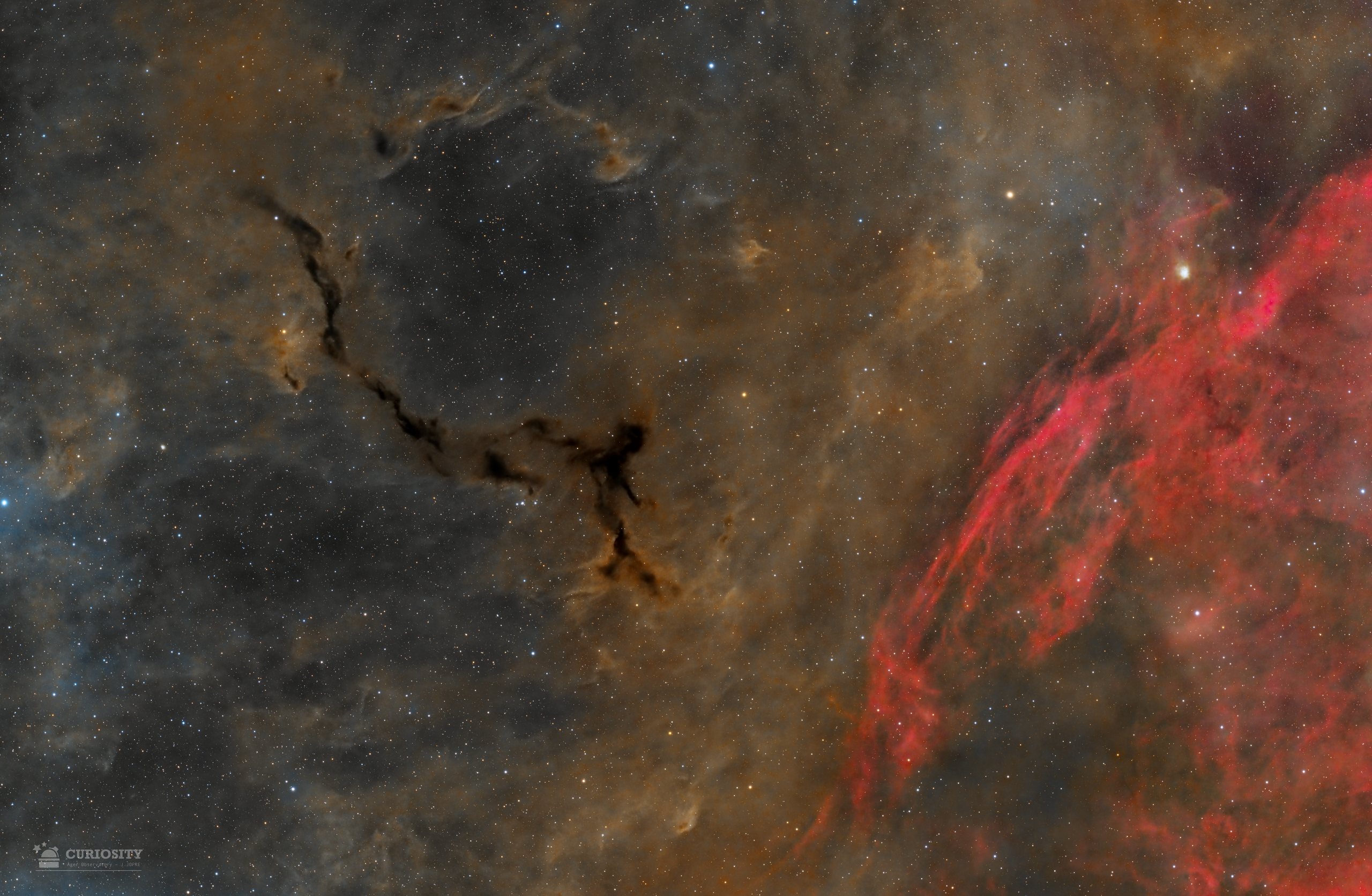 APOD: 2025 November 7 – A Dark Seahorse in Cepheus