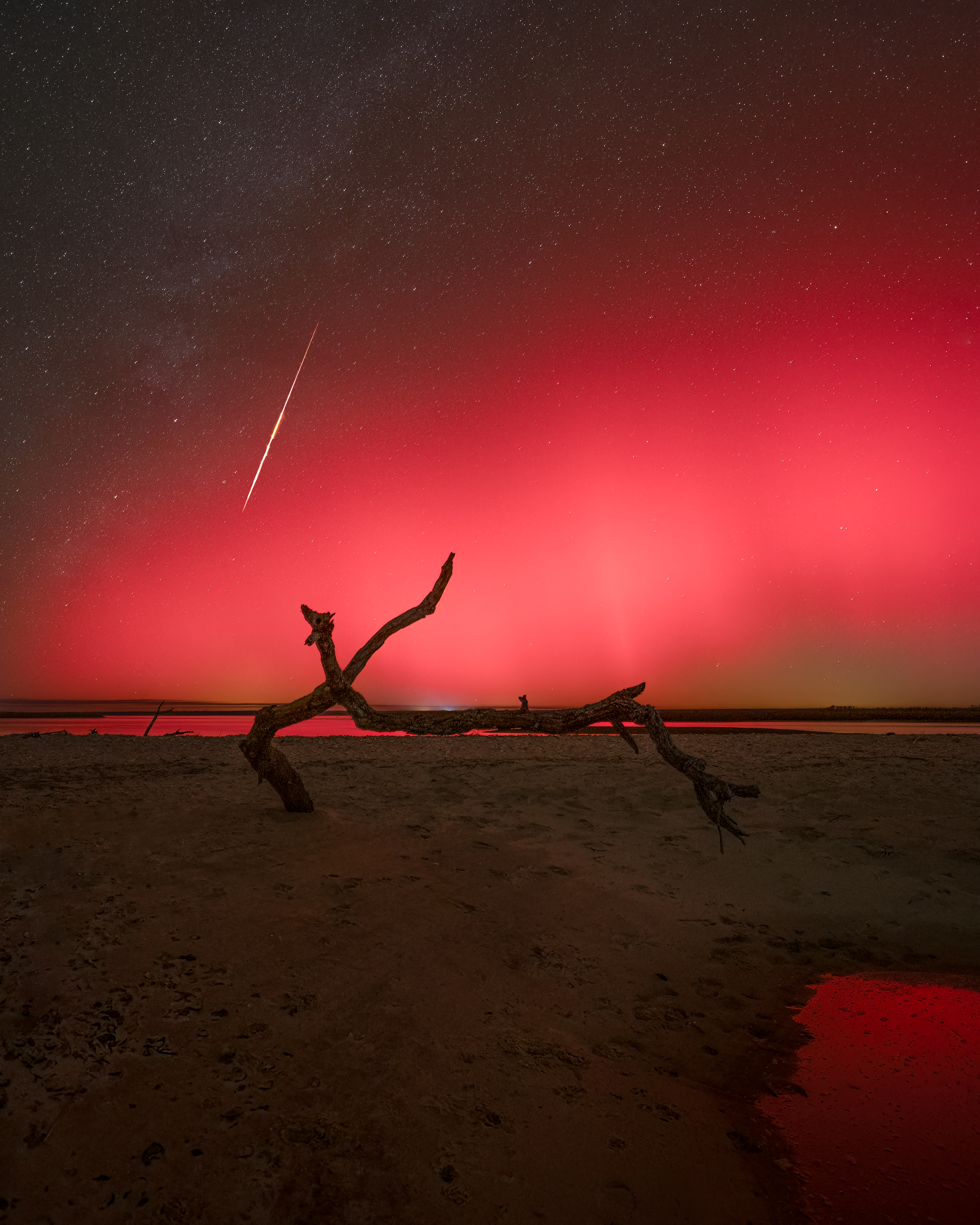 APOD: 2025 November 14 – Florida Northern Lights