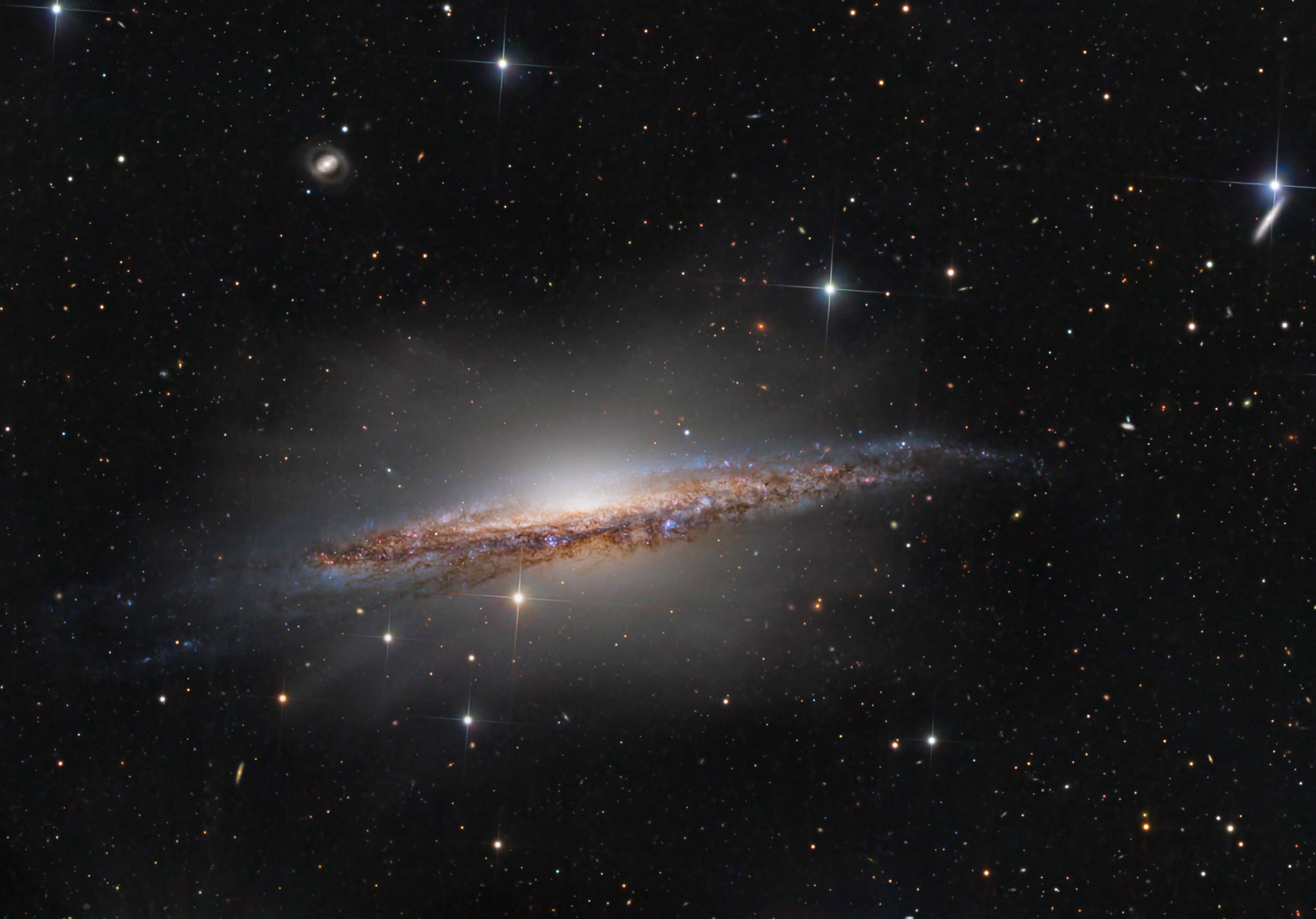 APOD: 2025 November 27 – Portrait of NGC 1055