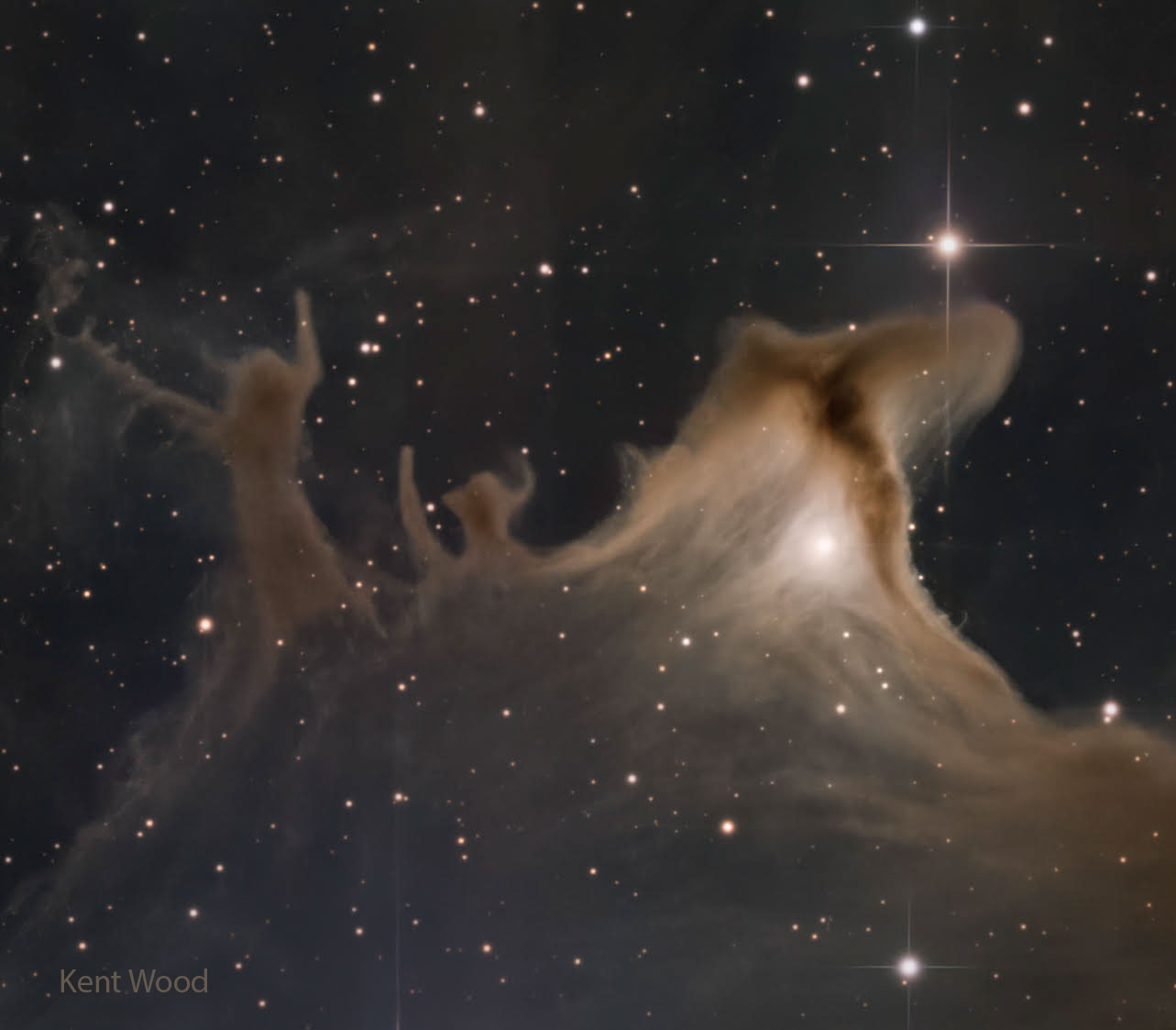 APOD: 2025 October 29 – Dust Shapes of the Ghost Nebula