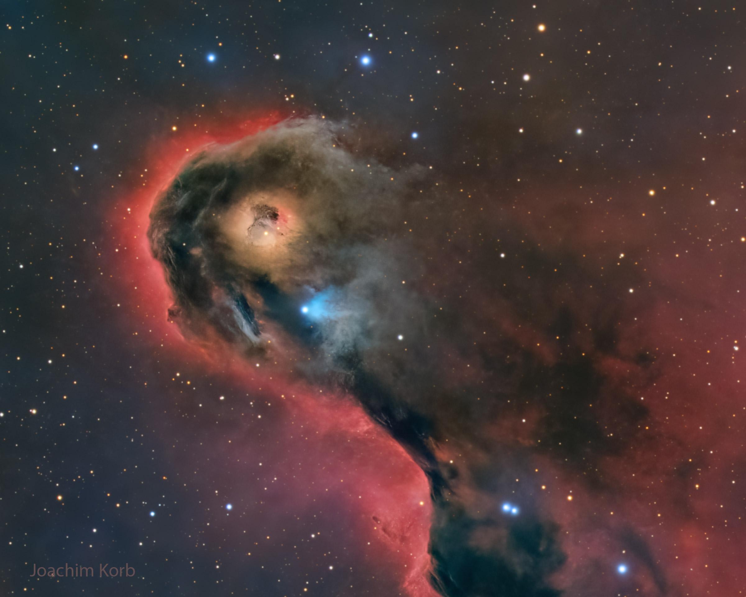 APOD: 2025 October 14 – An Unusual Globule in IC 1396