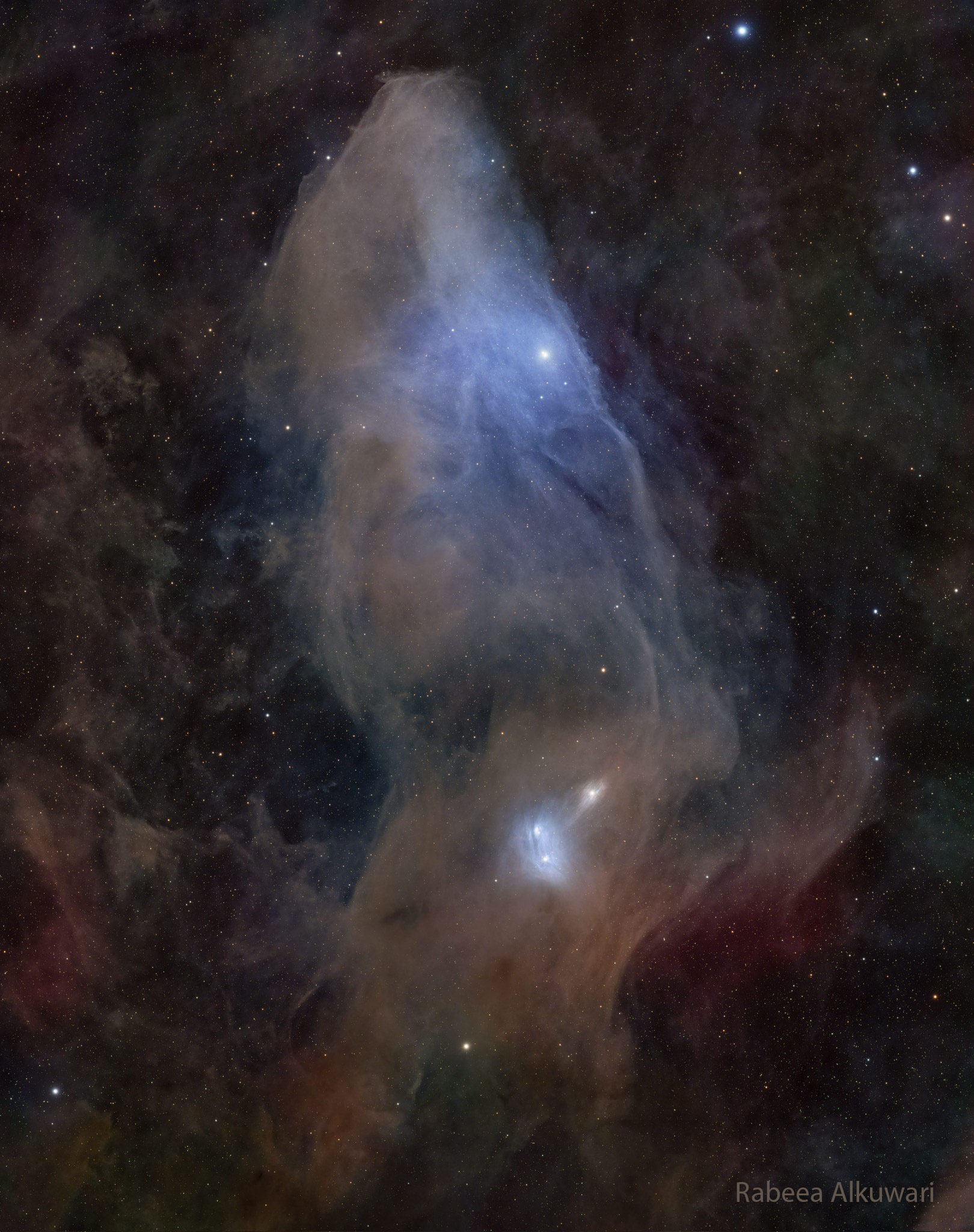 APOD: 2026 April 7 – IC 4592: The Blue Horsehead Reflection Nebula